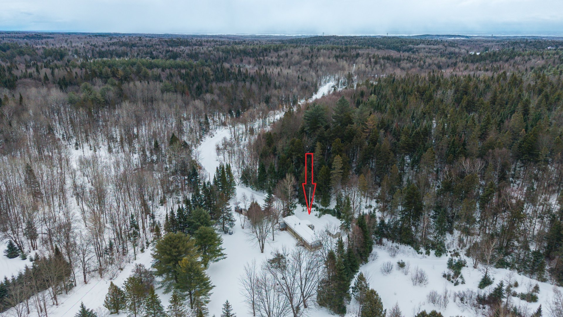 Aerial photo