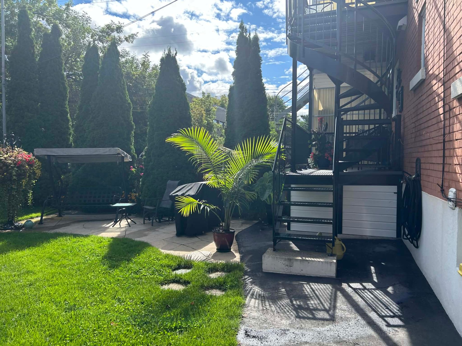 Backyard