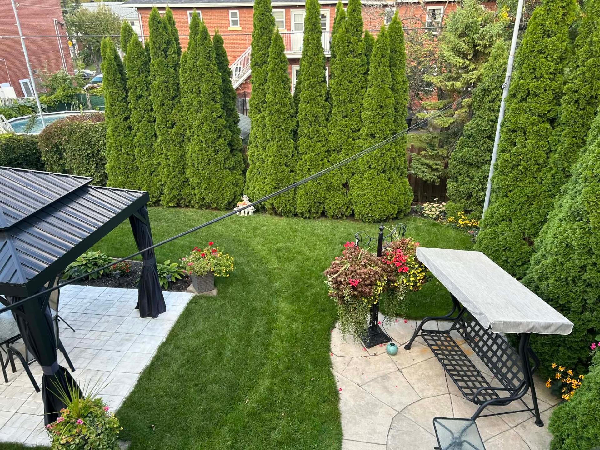 Backyard