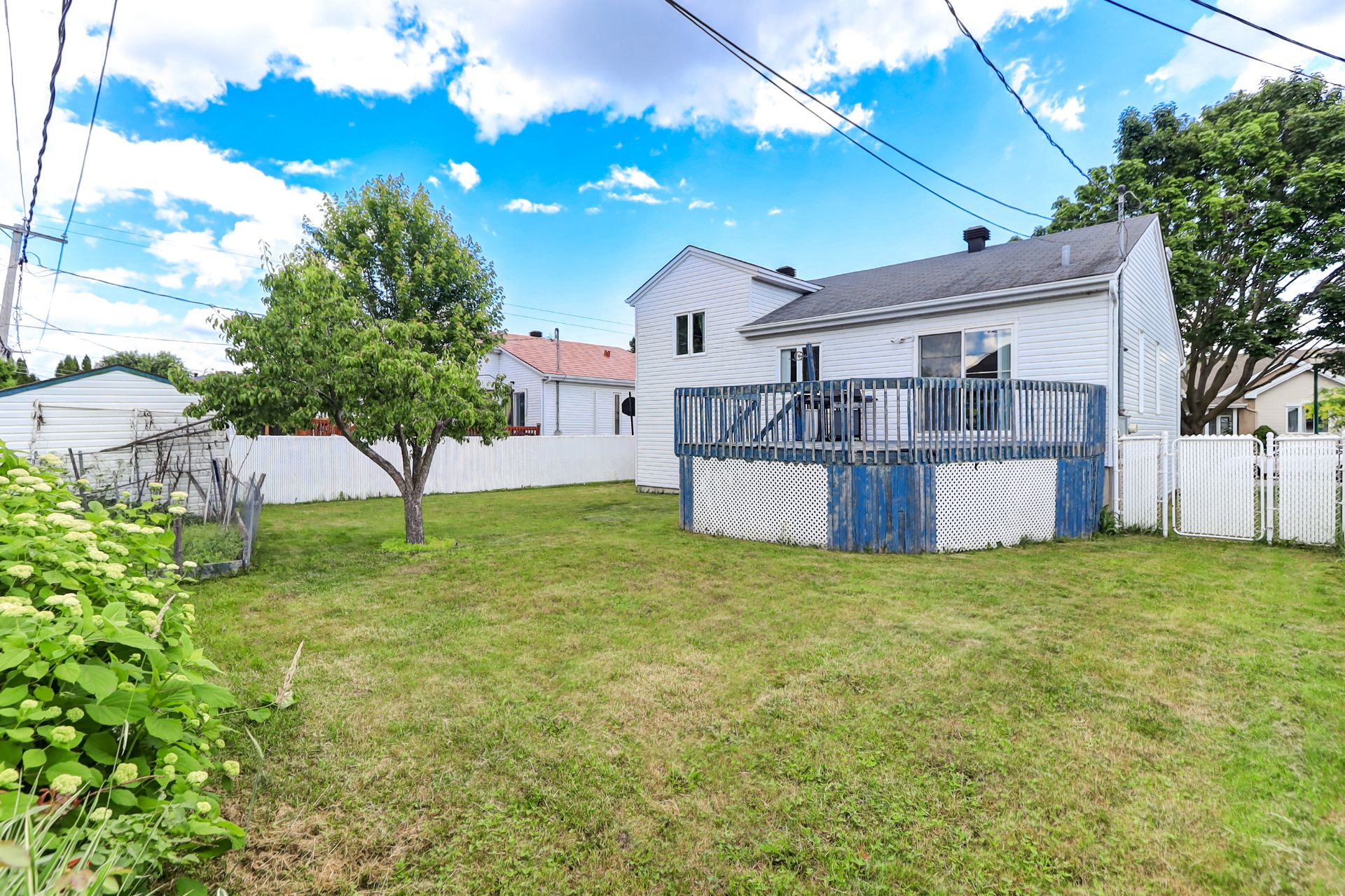 Backyard
