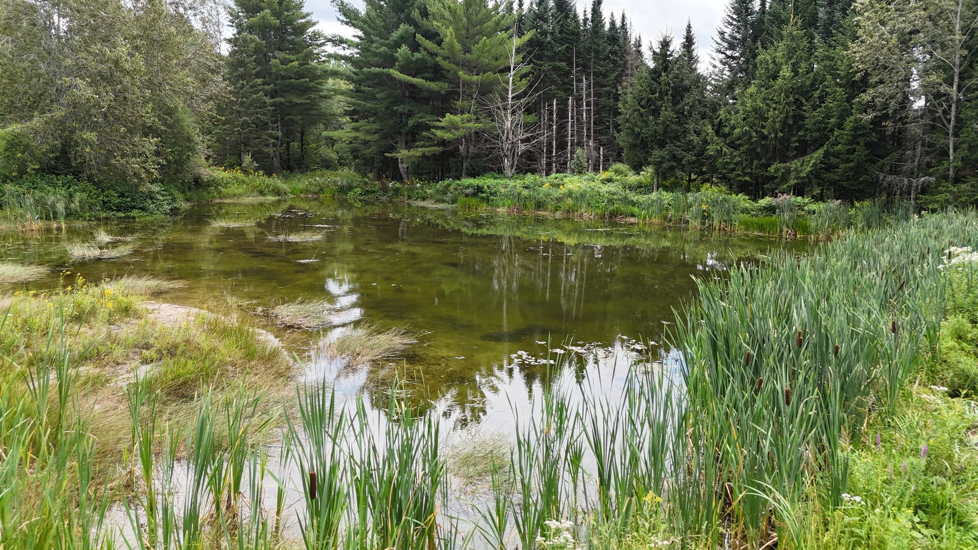 Petit Lac