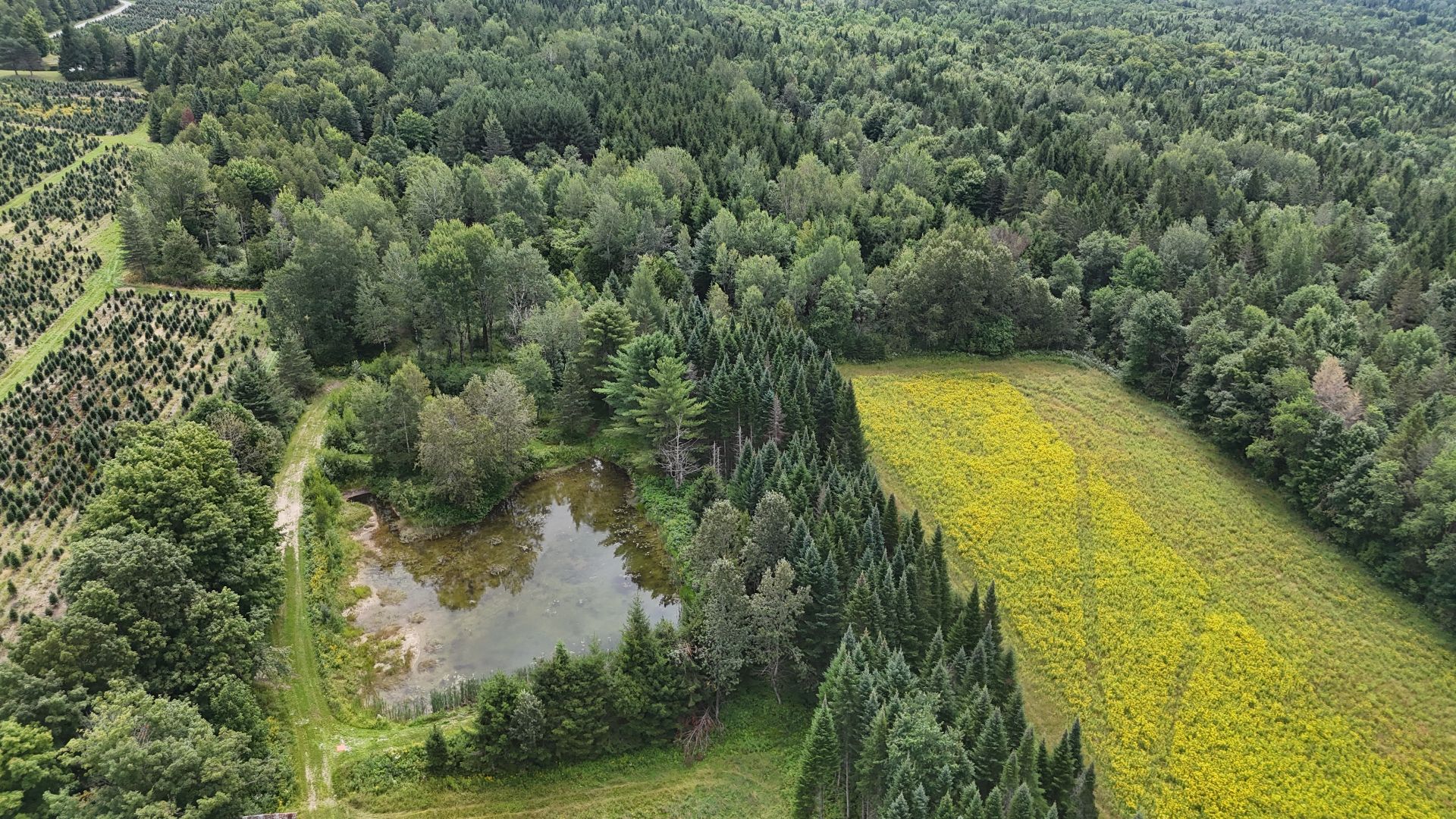 Vue sur l'eau