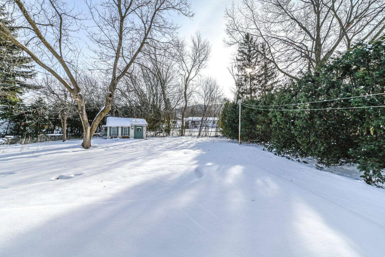 Belle grande cour avec haies & arbres matures