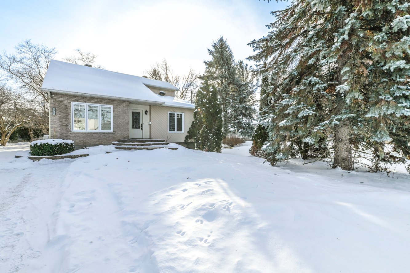 Plusieurs arbres sur le terrain