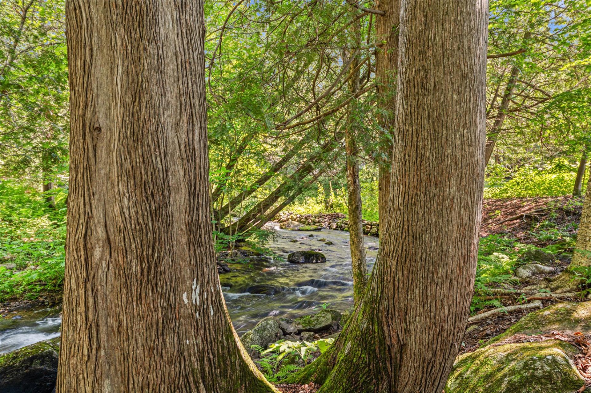 Ruisseau