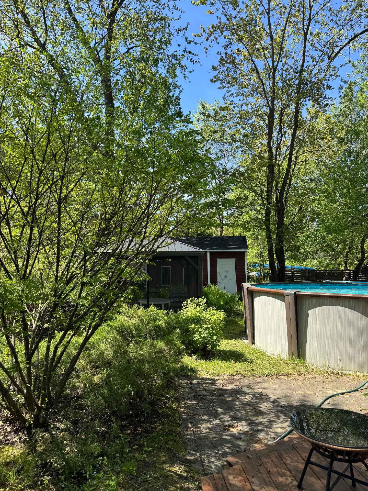 Backyard