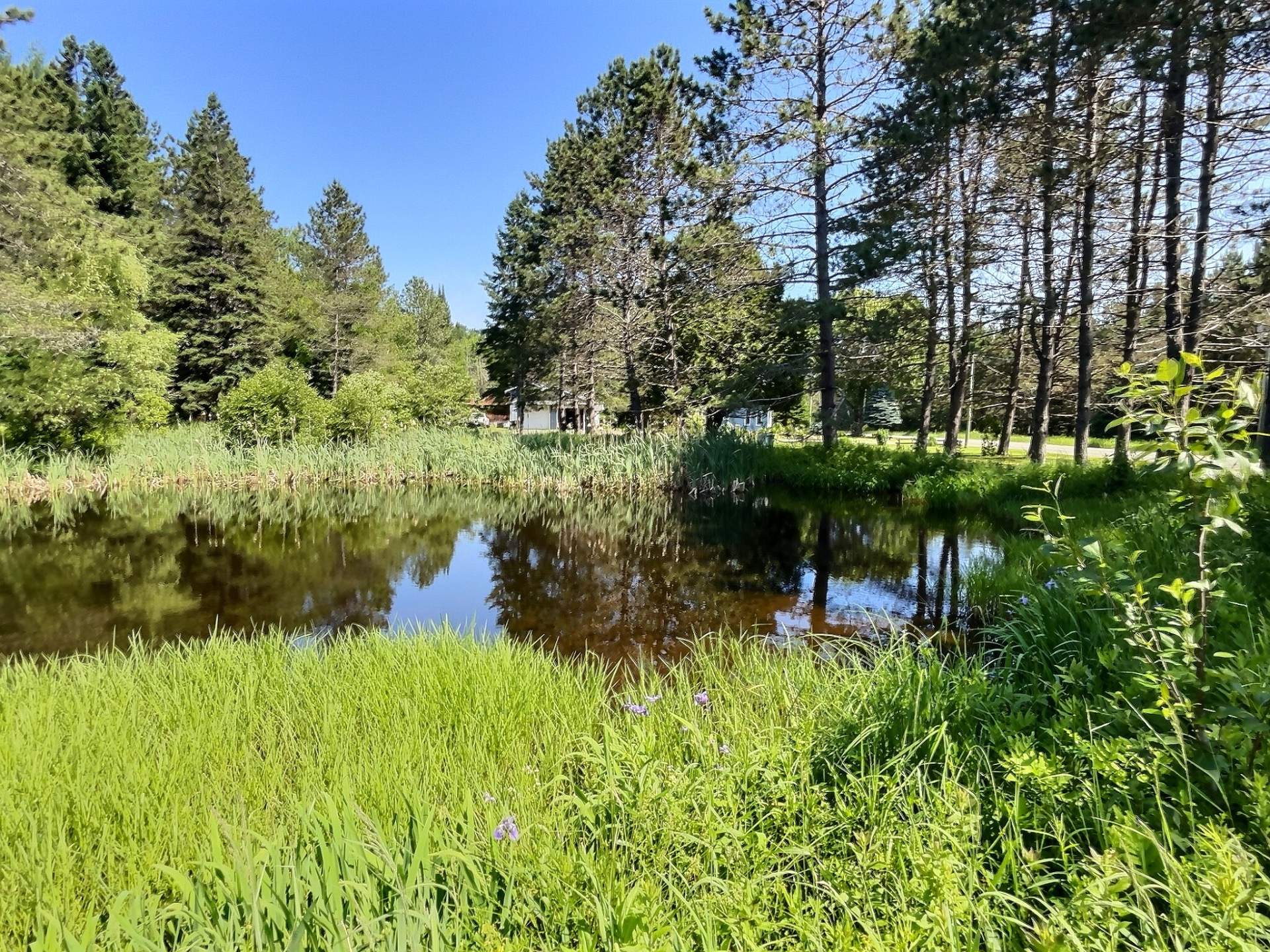 Bord de l'eau