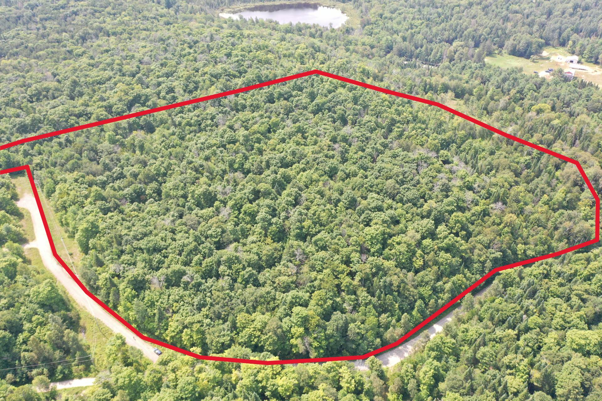 Land/Lot