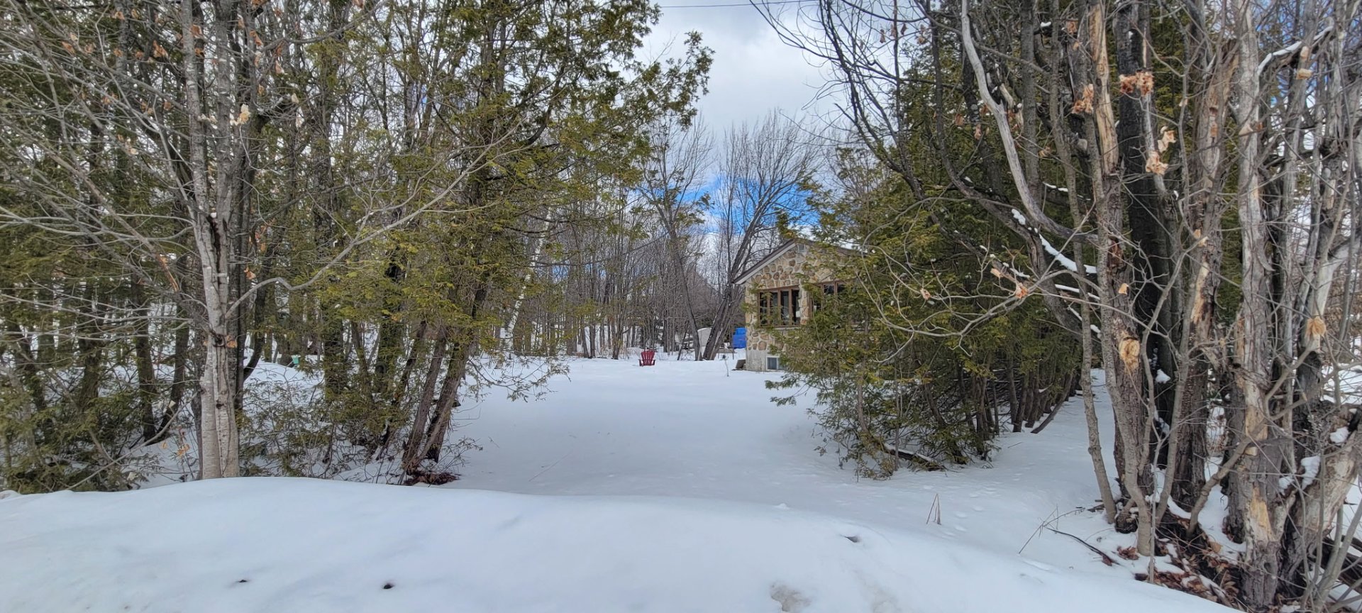 terrain coté gauche de la maison
