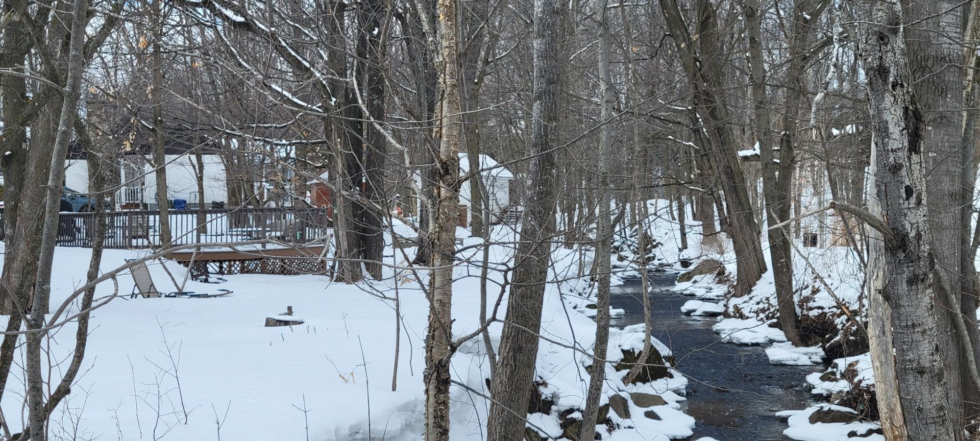 ruisseau cour arrière