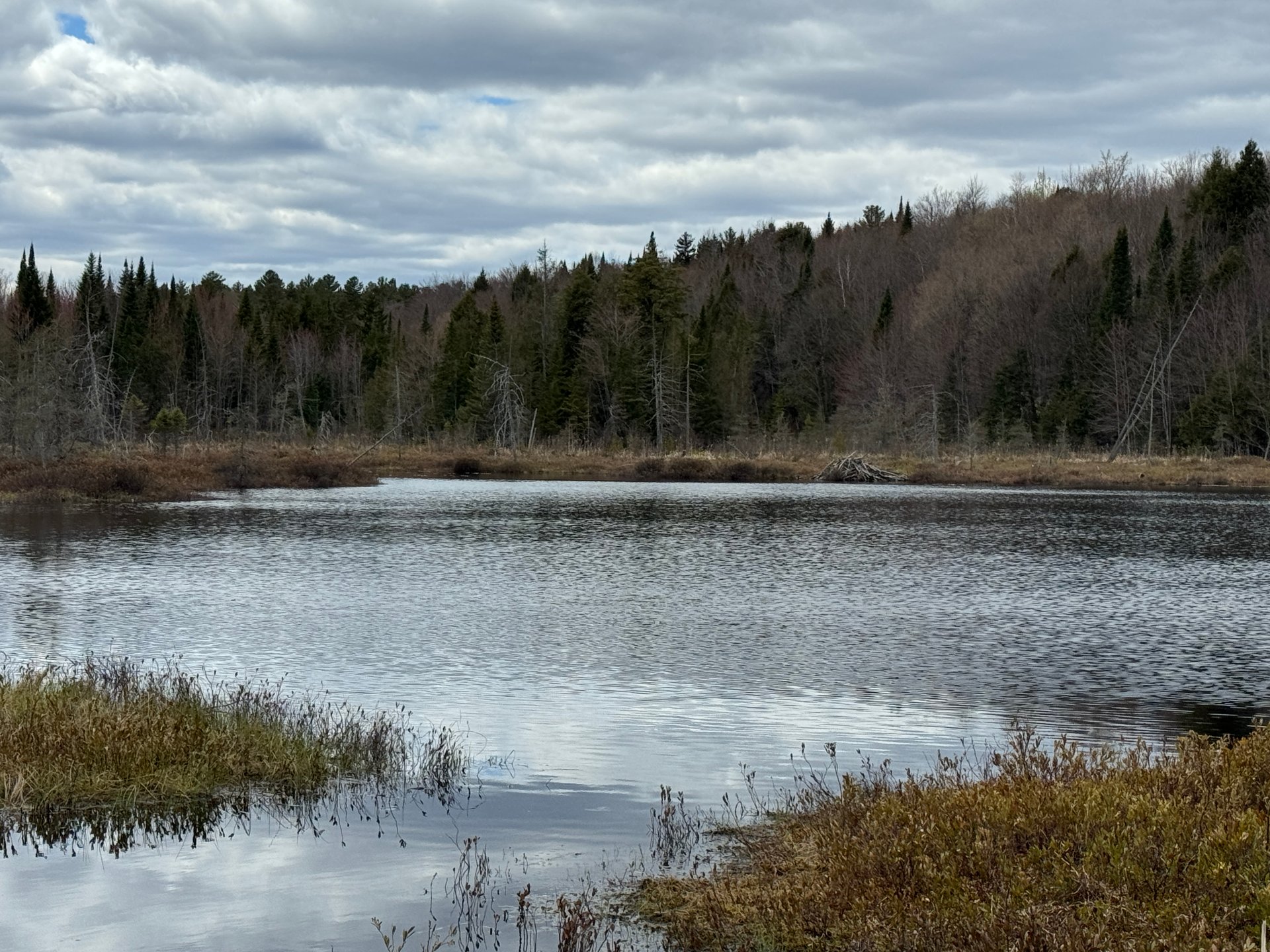 Bord de l'eau