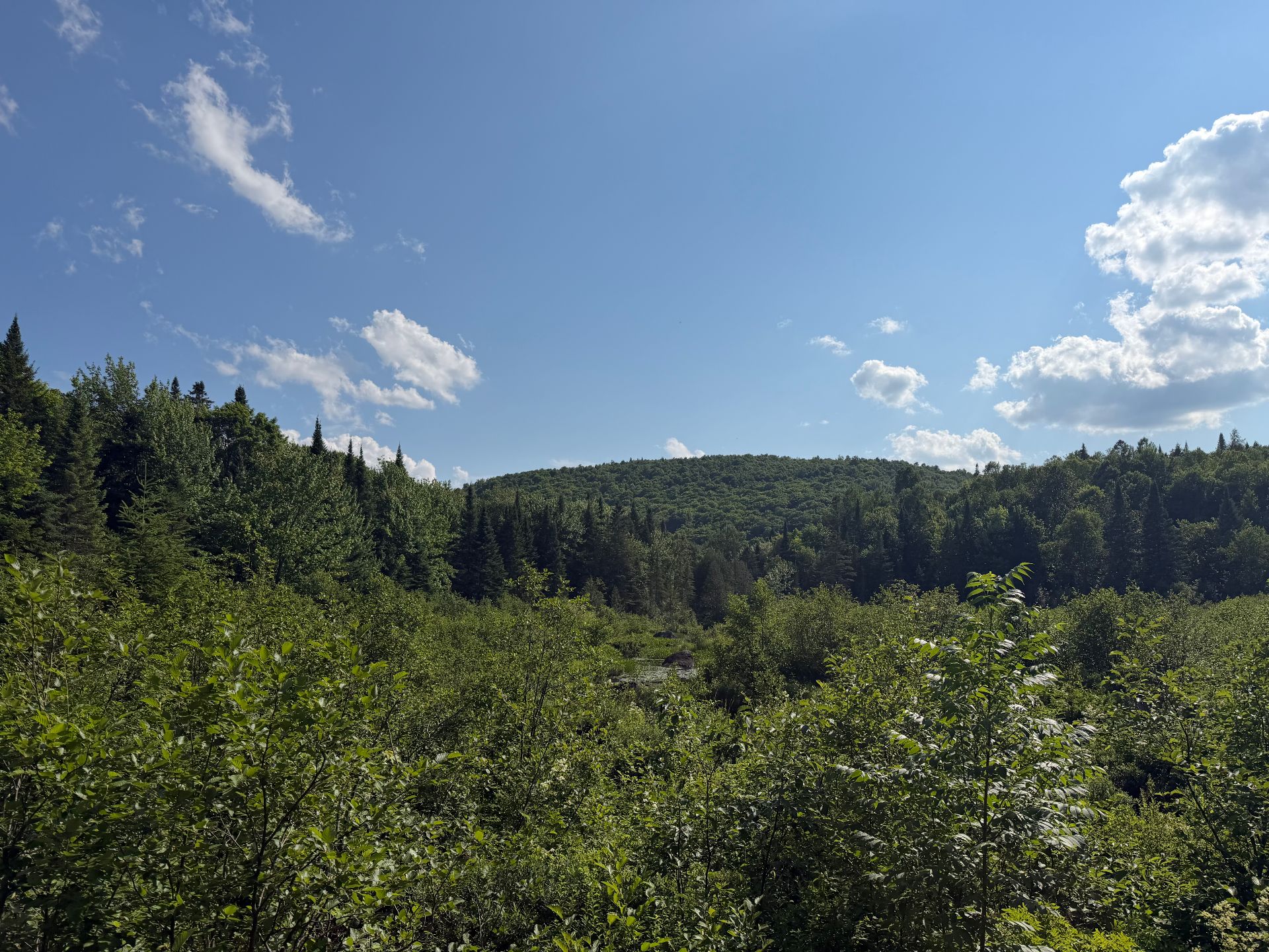 Vue sur la montagne