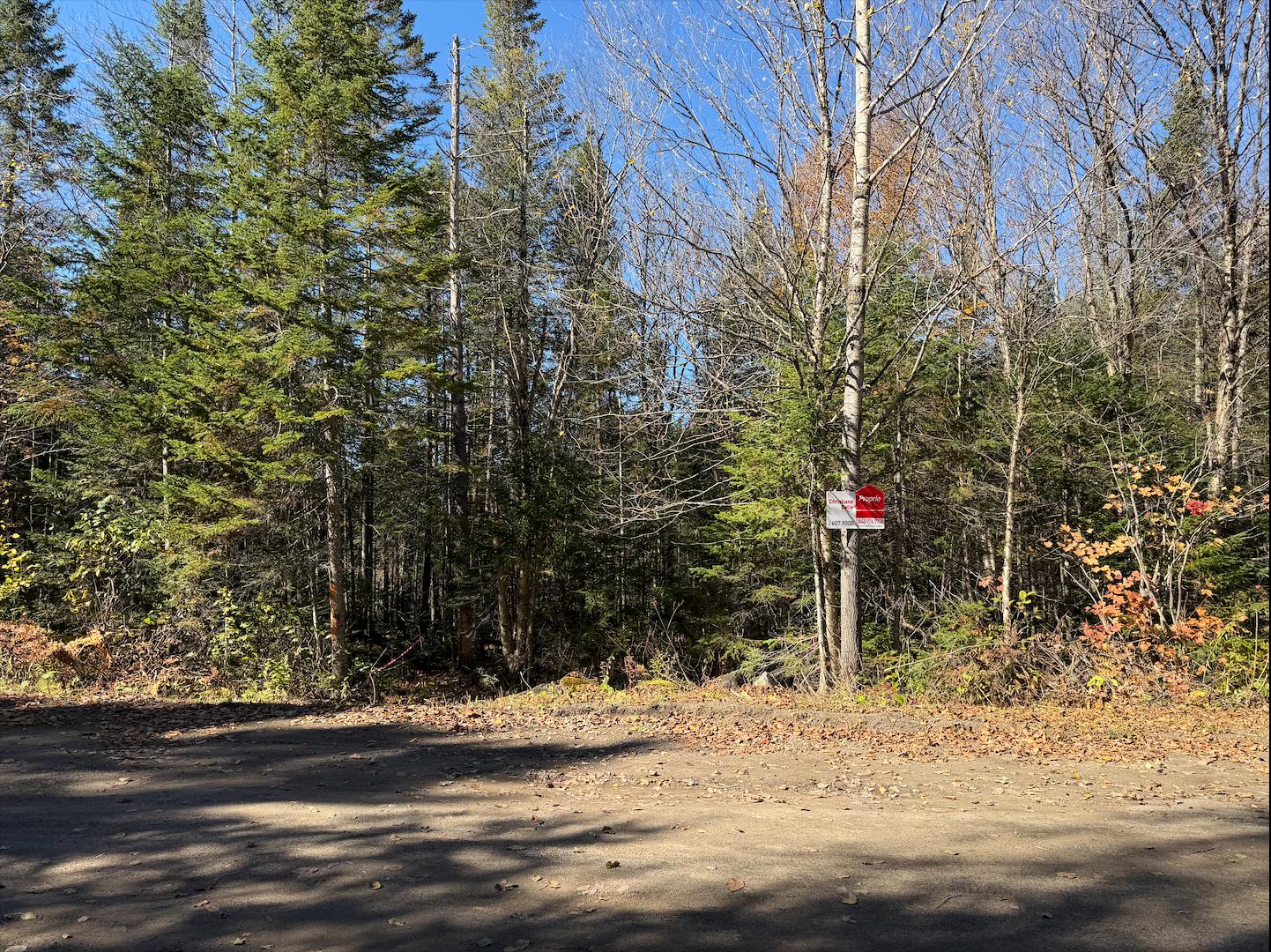 Land/Lot