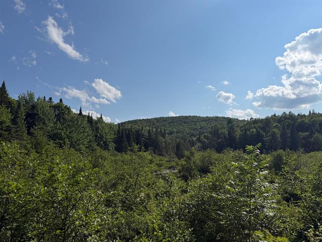 View on the mountain