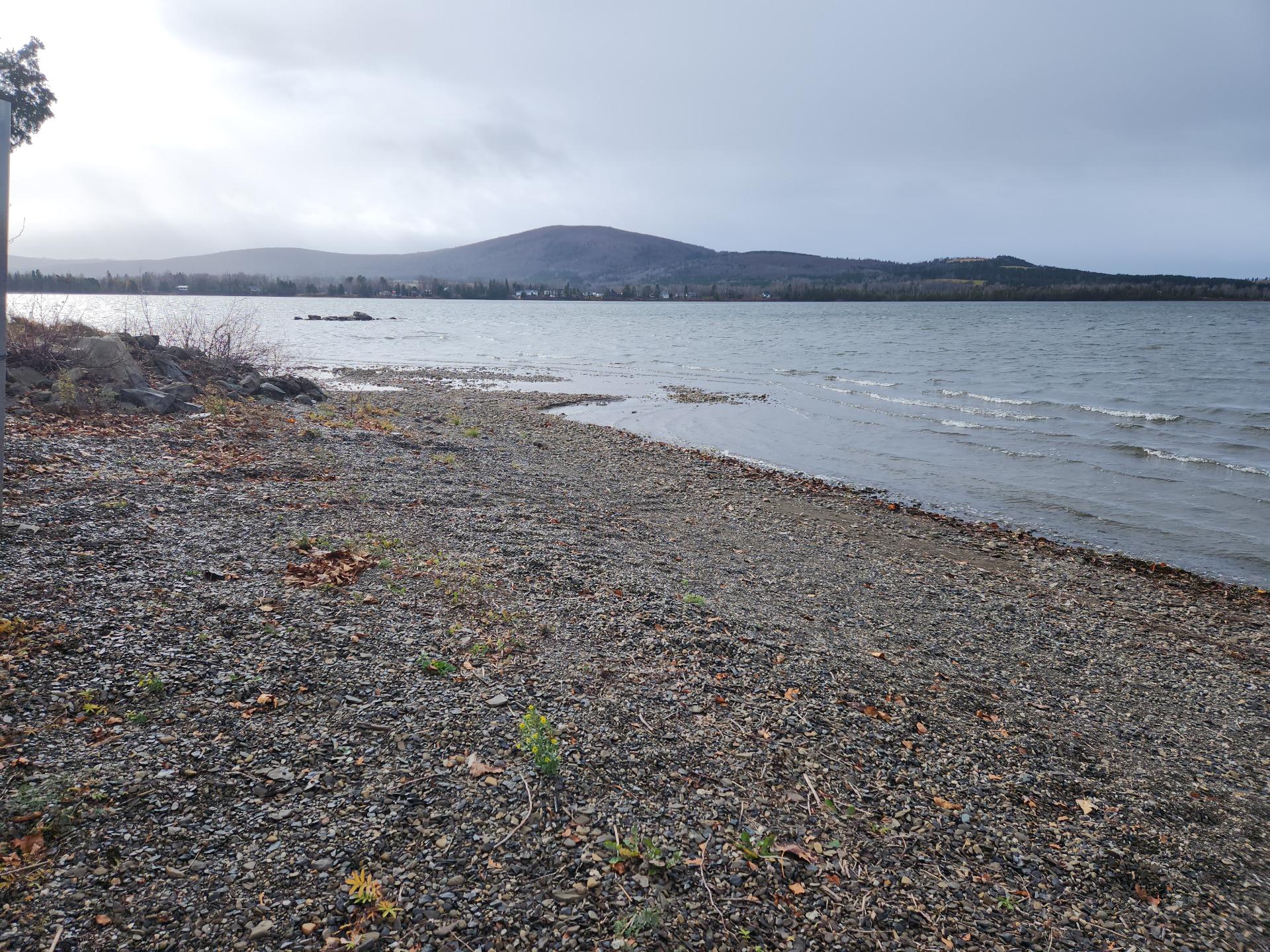 Water view