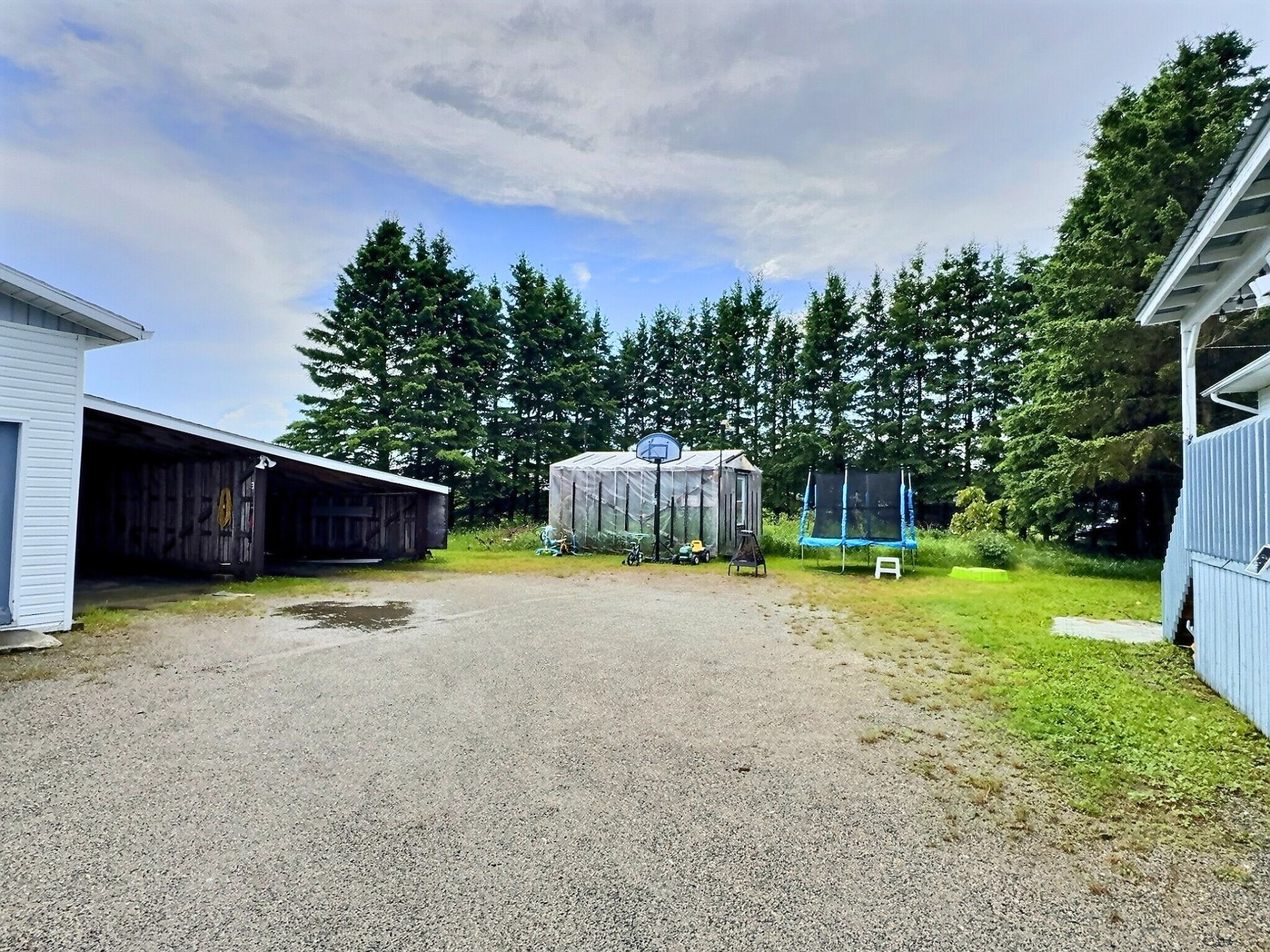 Overall View