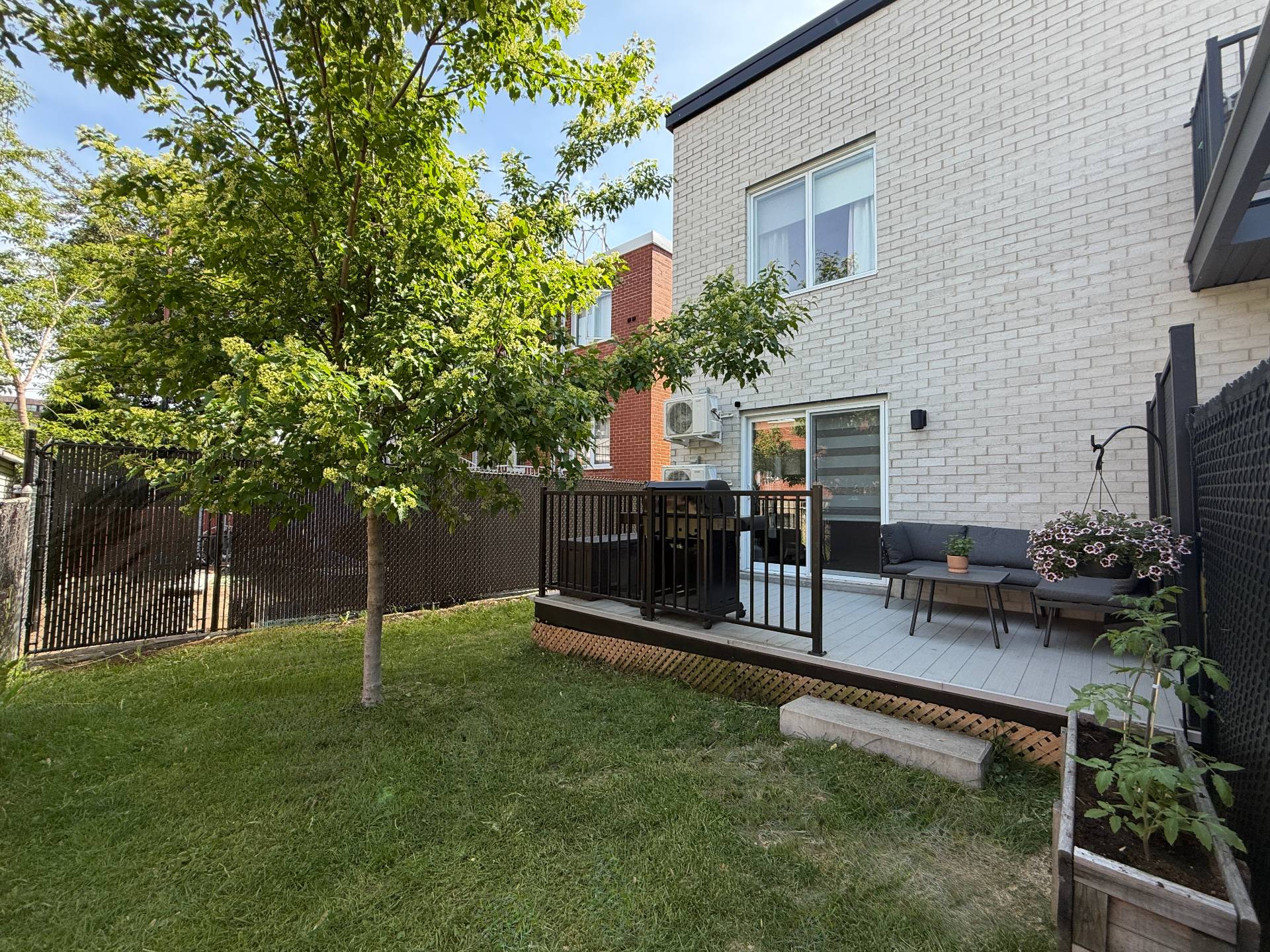 Backyard