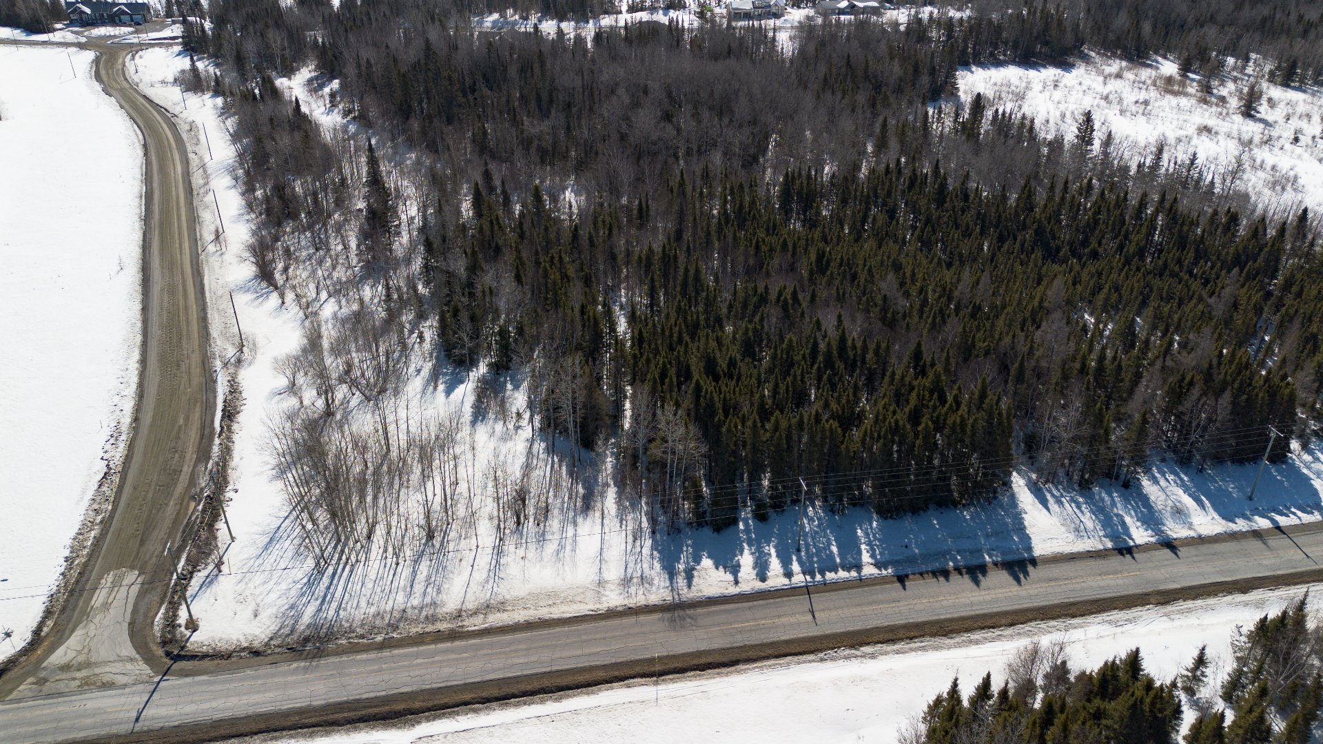 Aerial photo