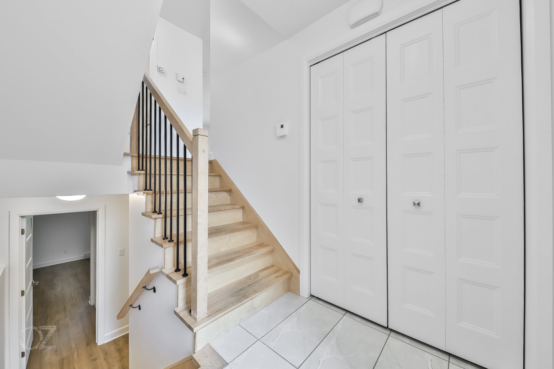 Hall d'entrée/Vestibule