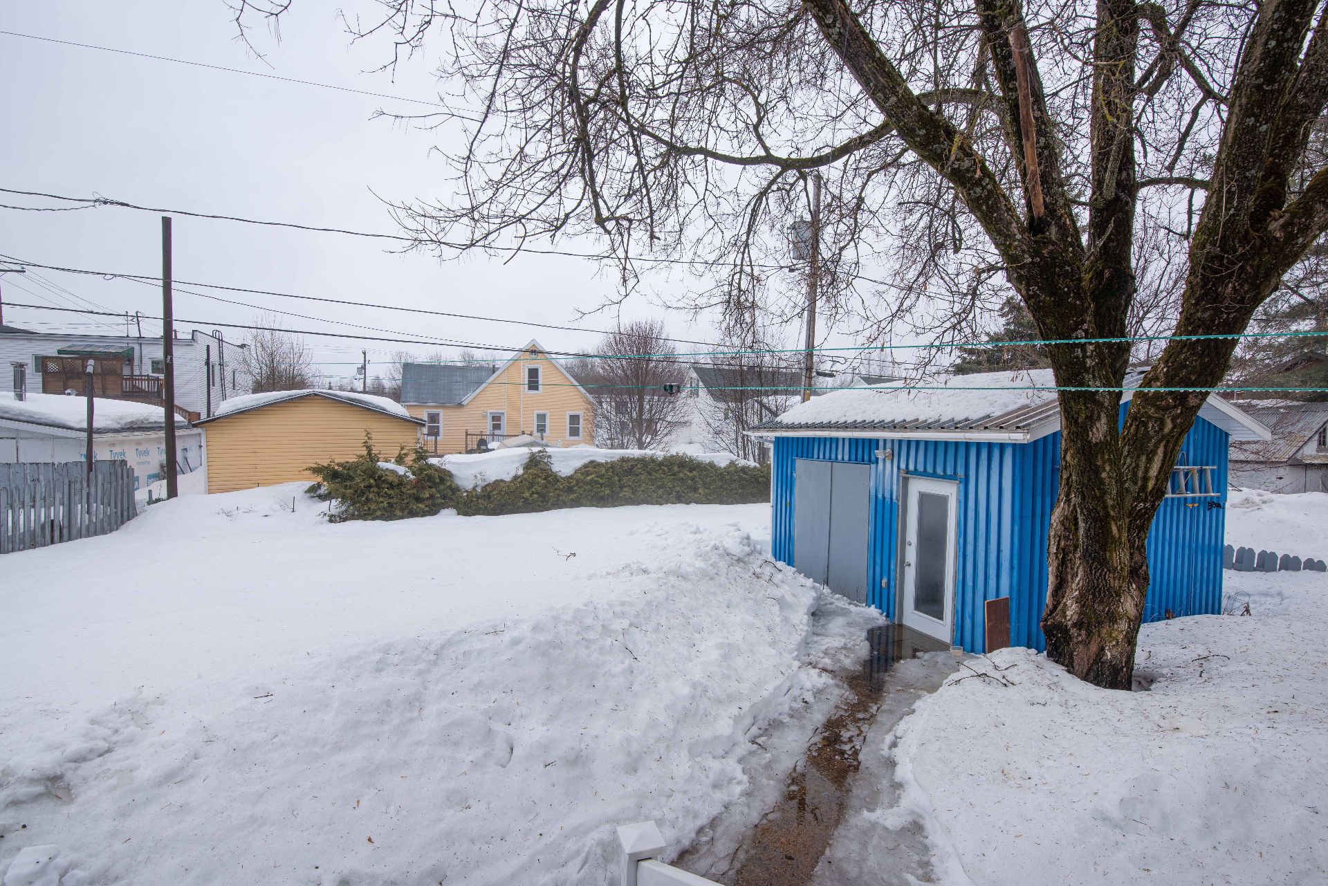 Shed