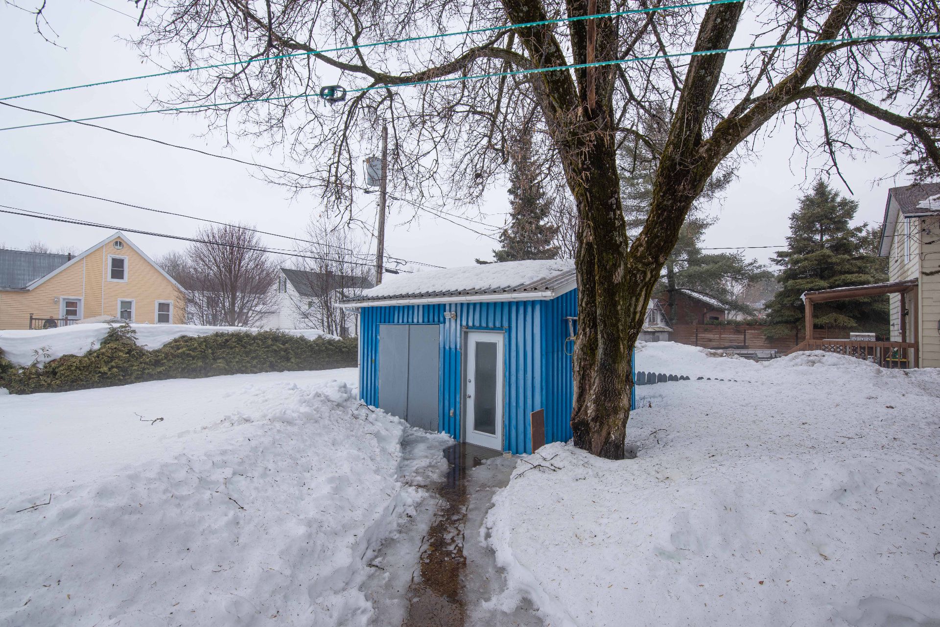 Shed