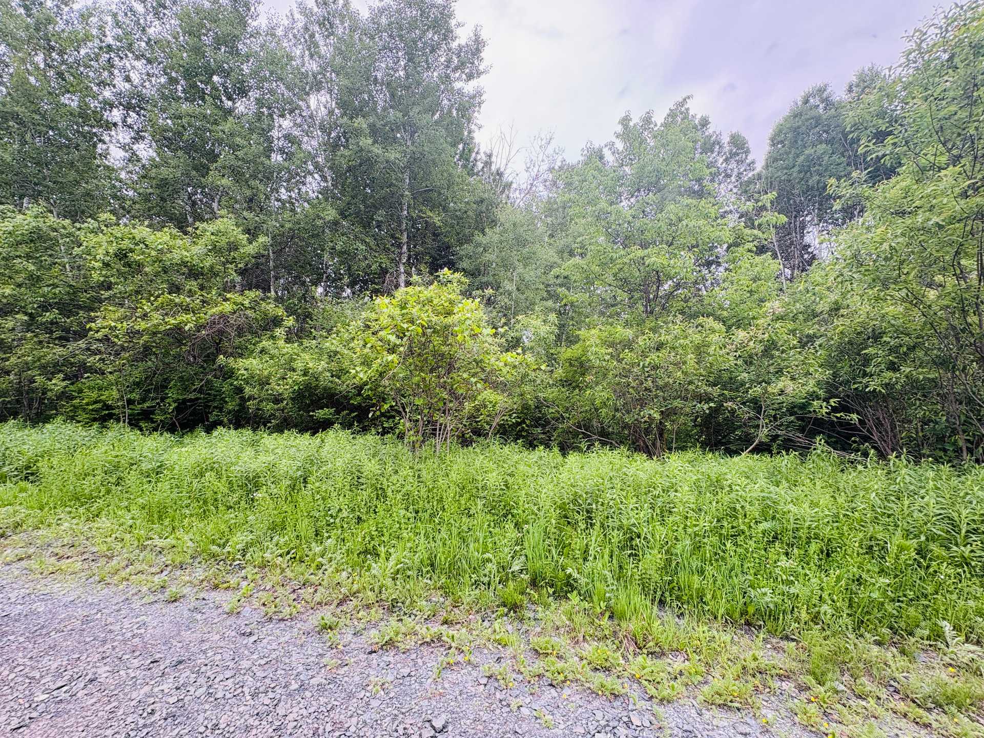 Land/Lot