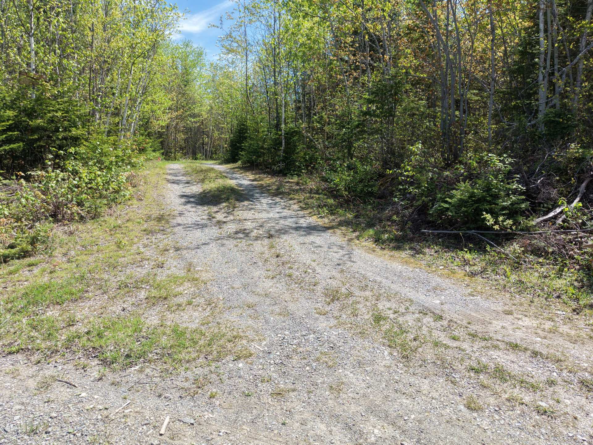 chemin pour se rentre au chalet
