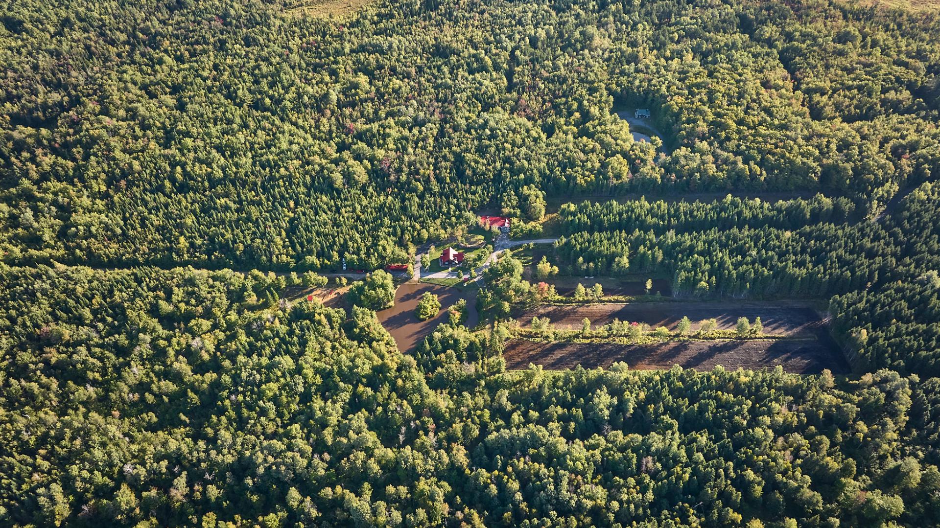 Aerial photo