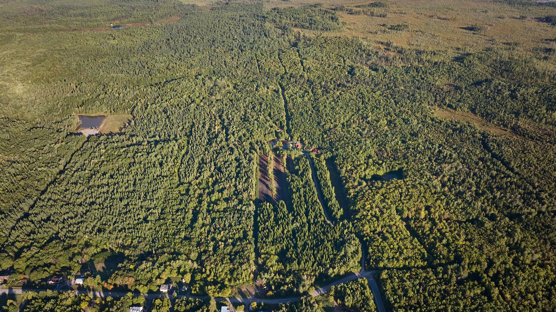 Aerial photo