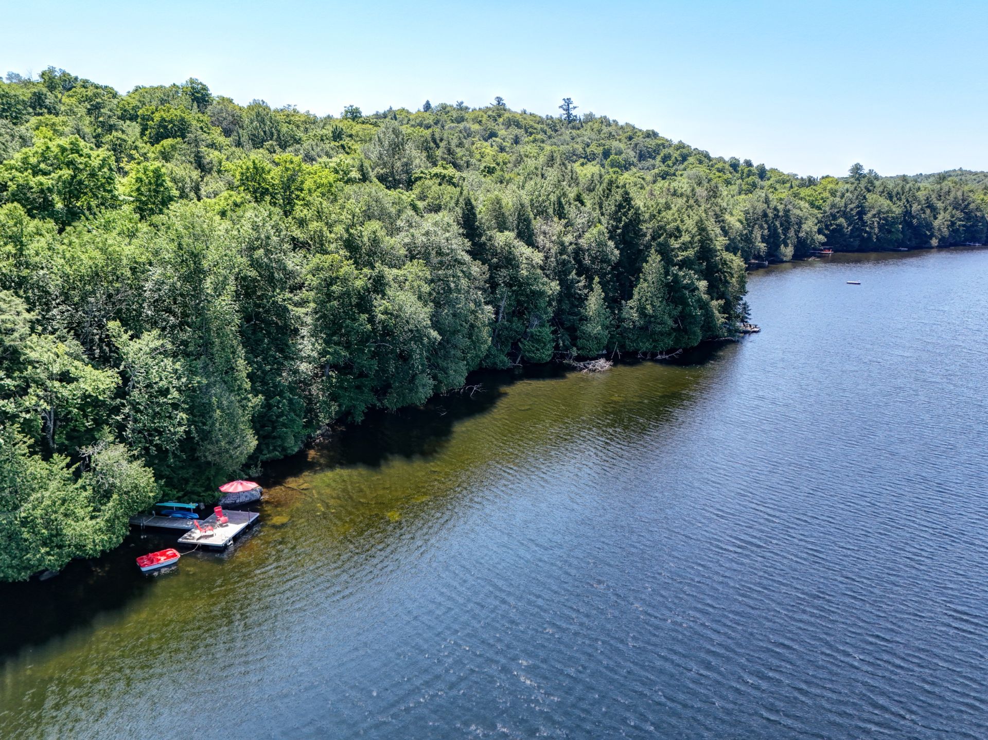 Bord de l'eau