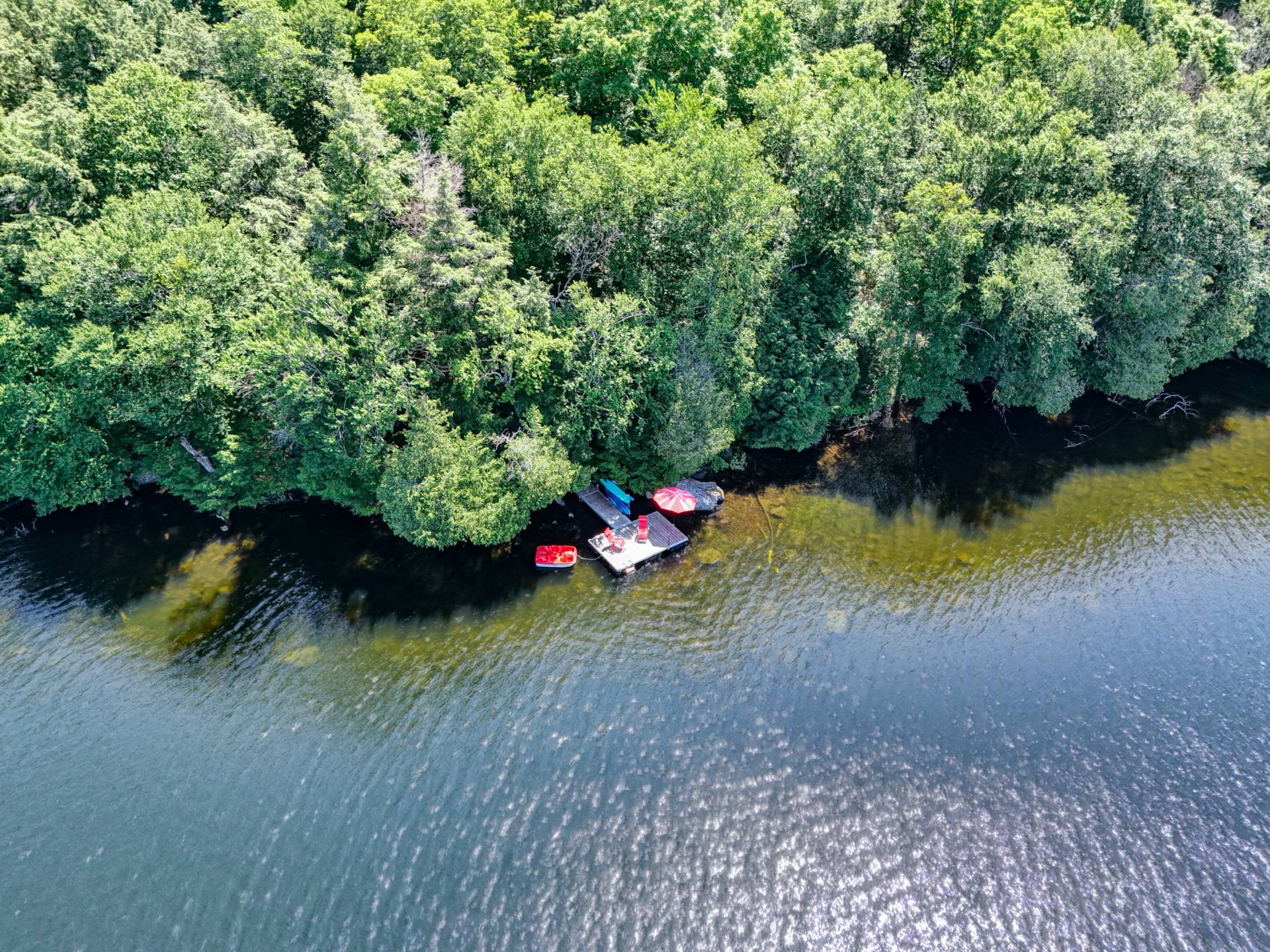 Bord de l'eau