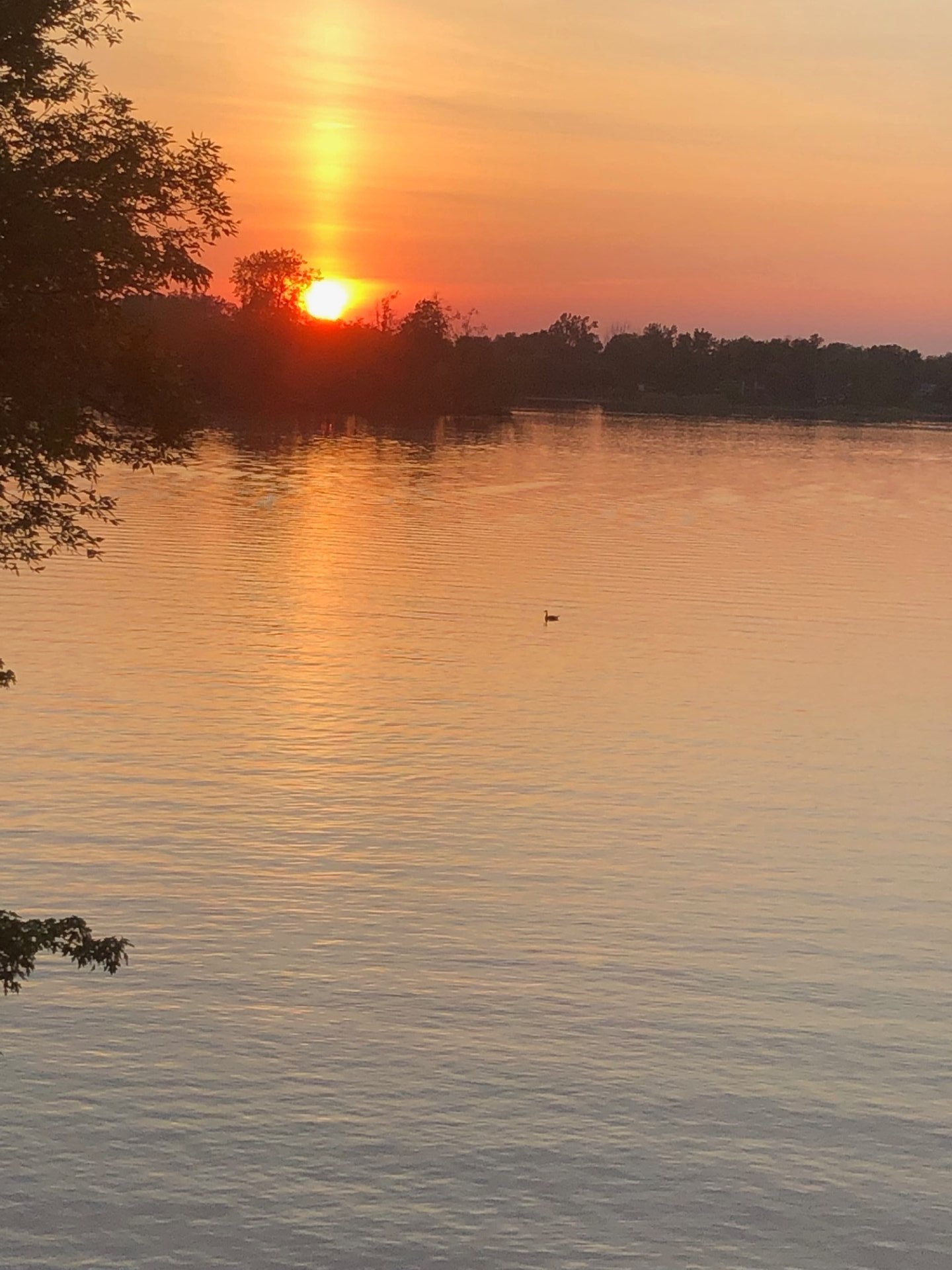 Water view