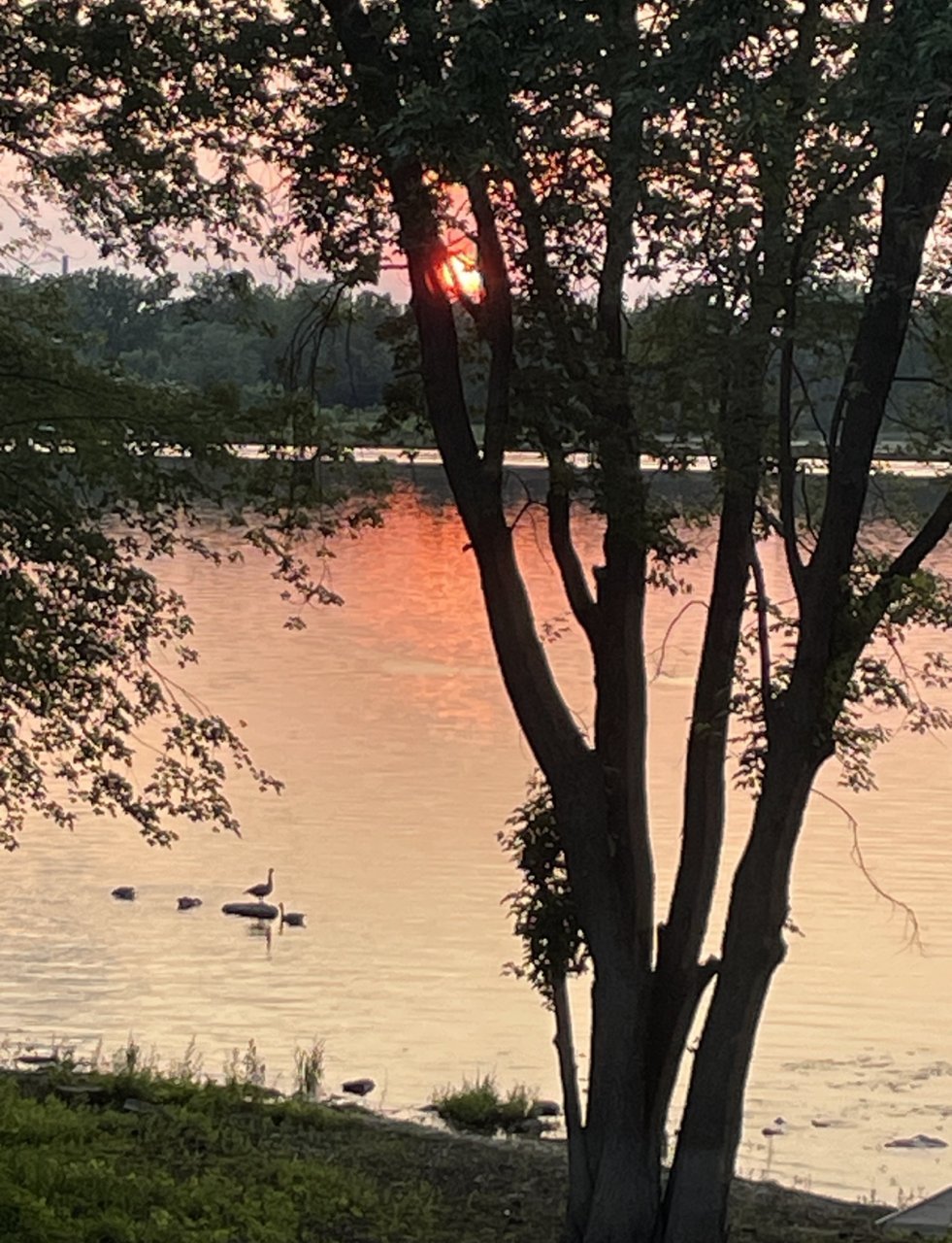 Water view