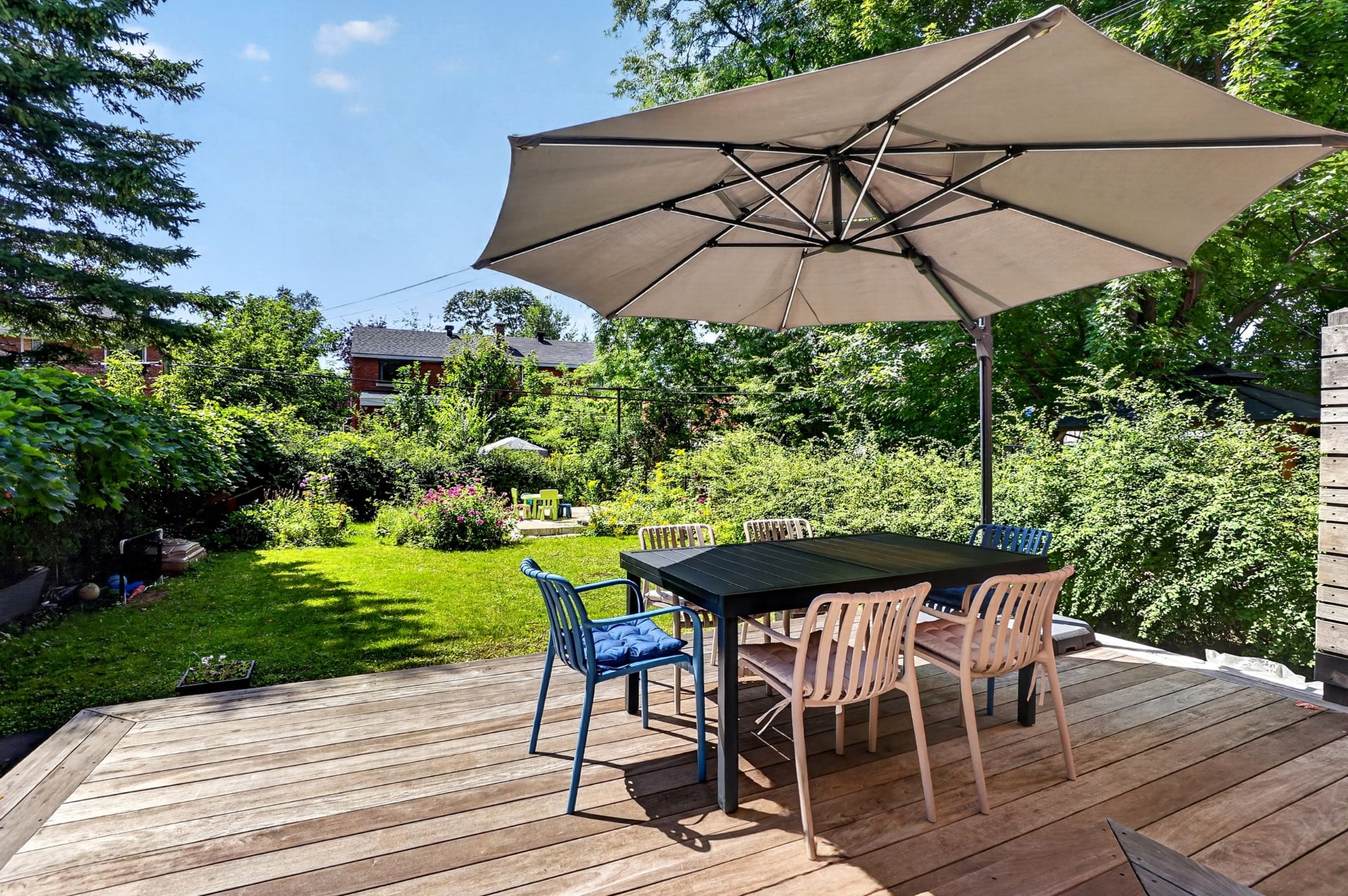 Backyard
