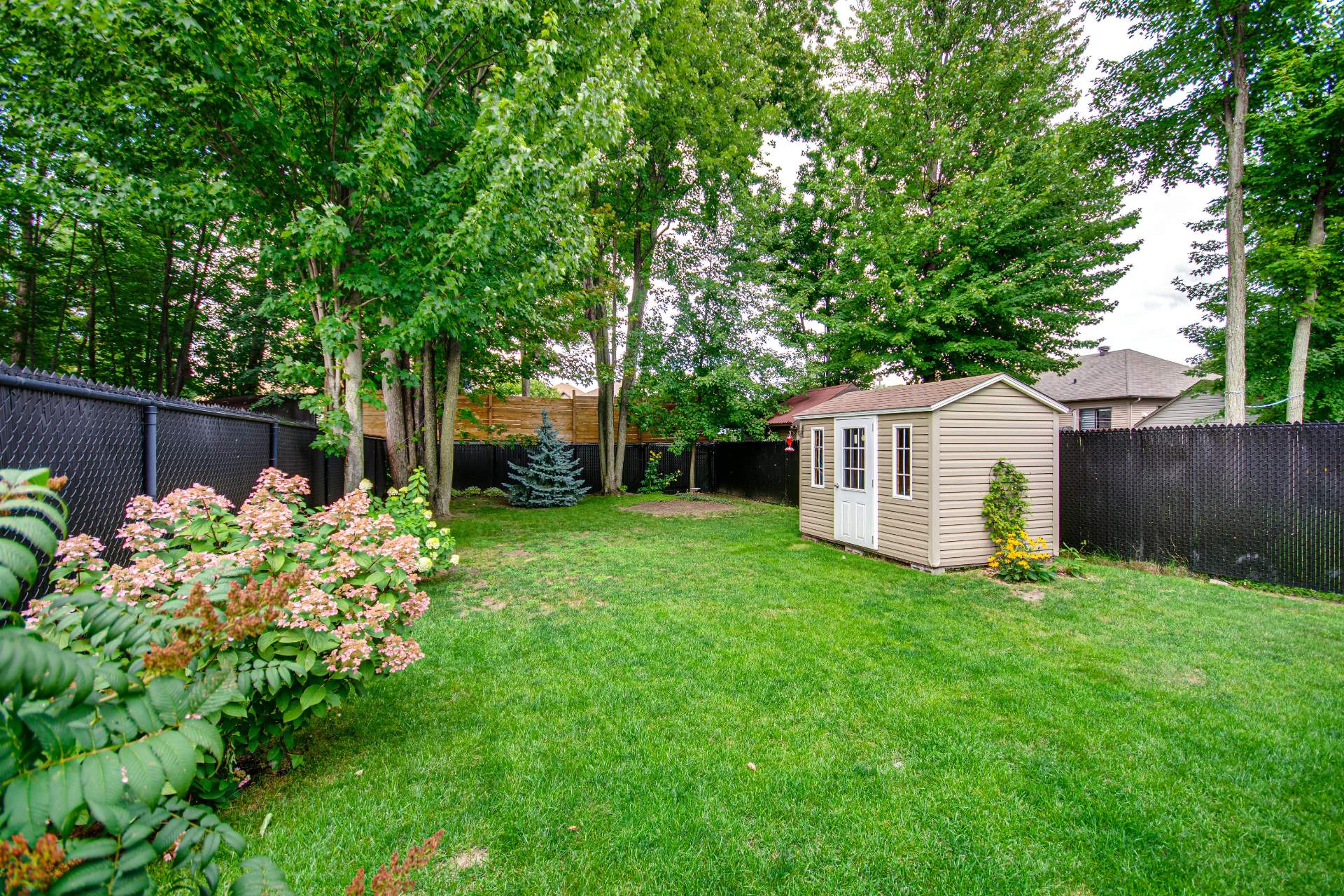 Backyard