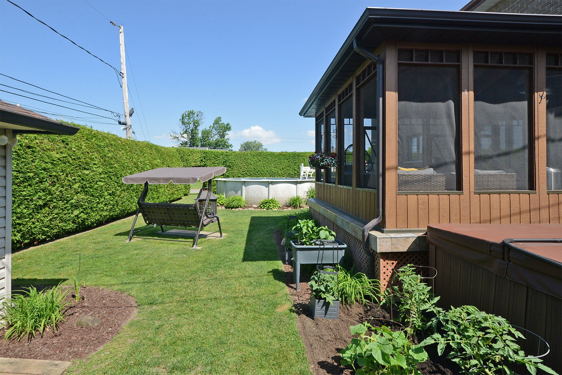 Backyard