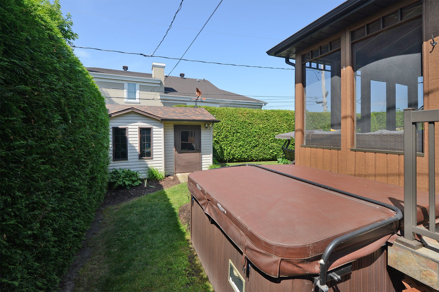 Backyard