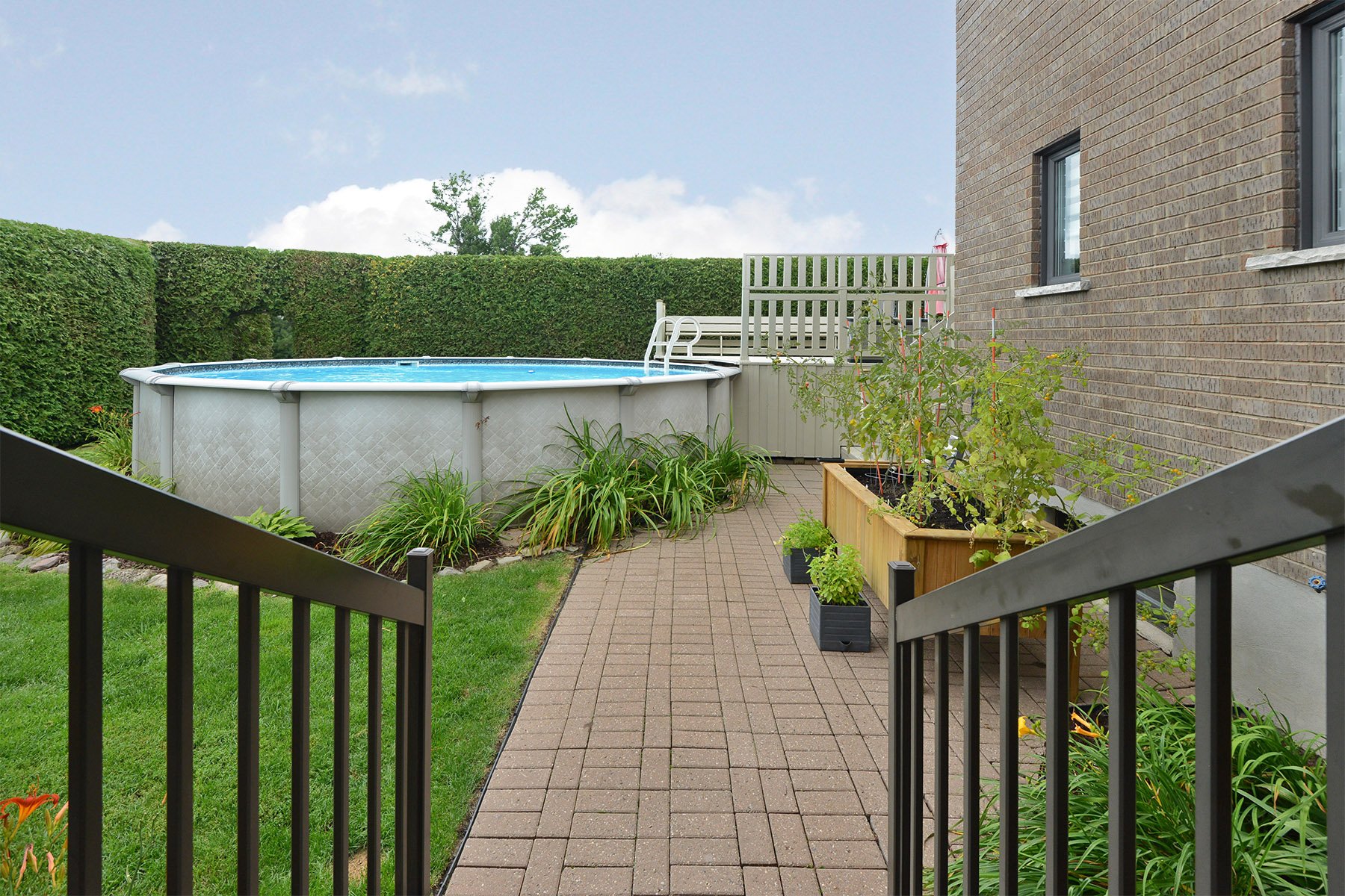 Backyard