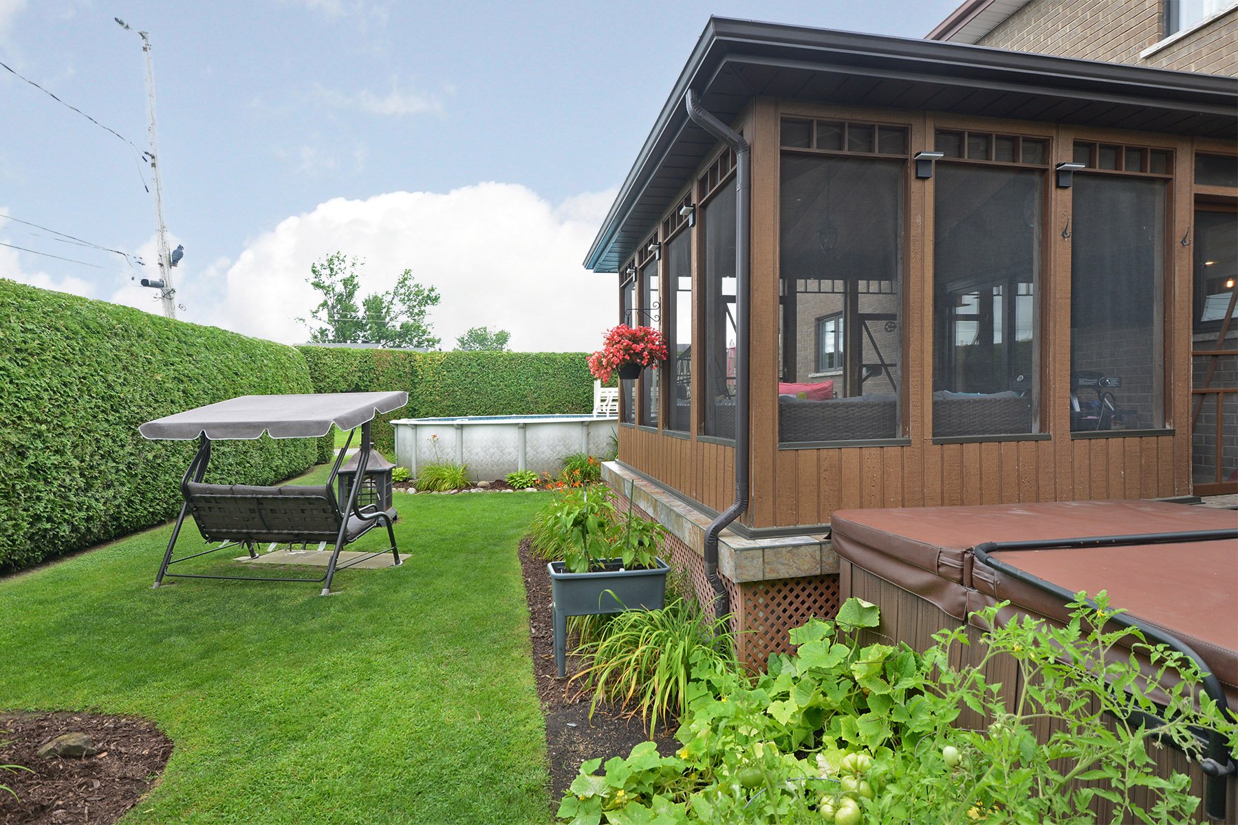 Backyard