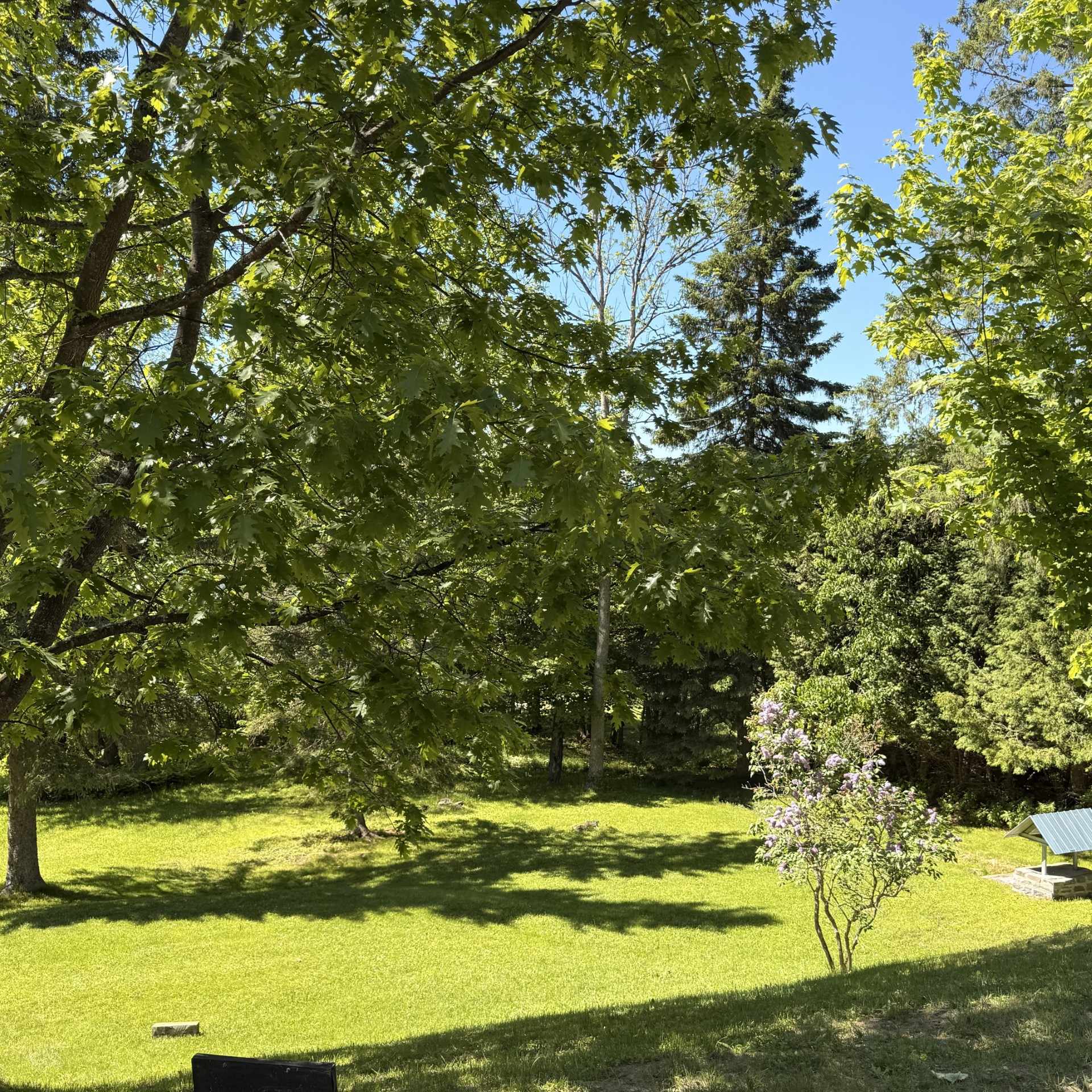 Land/Lot