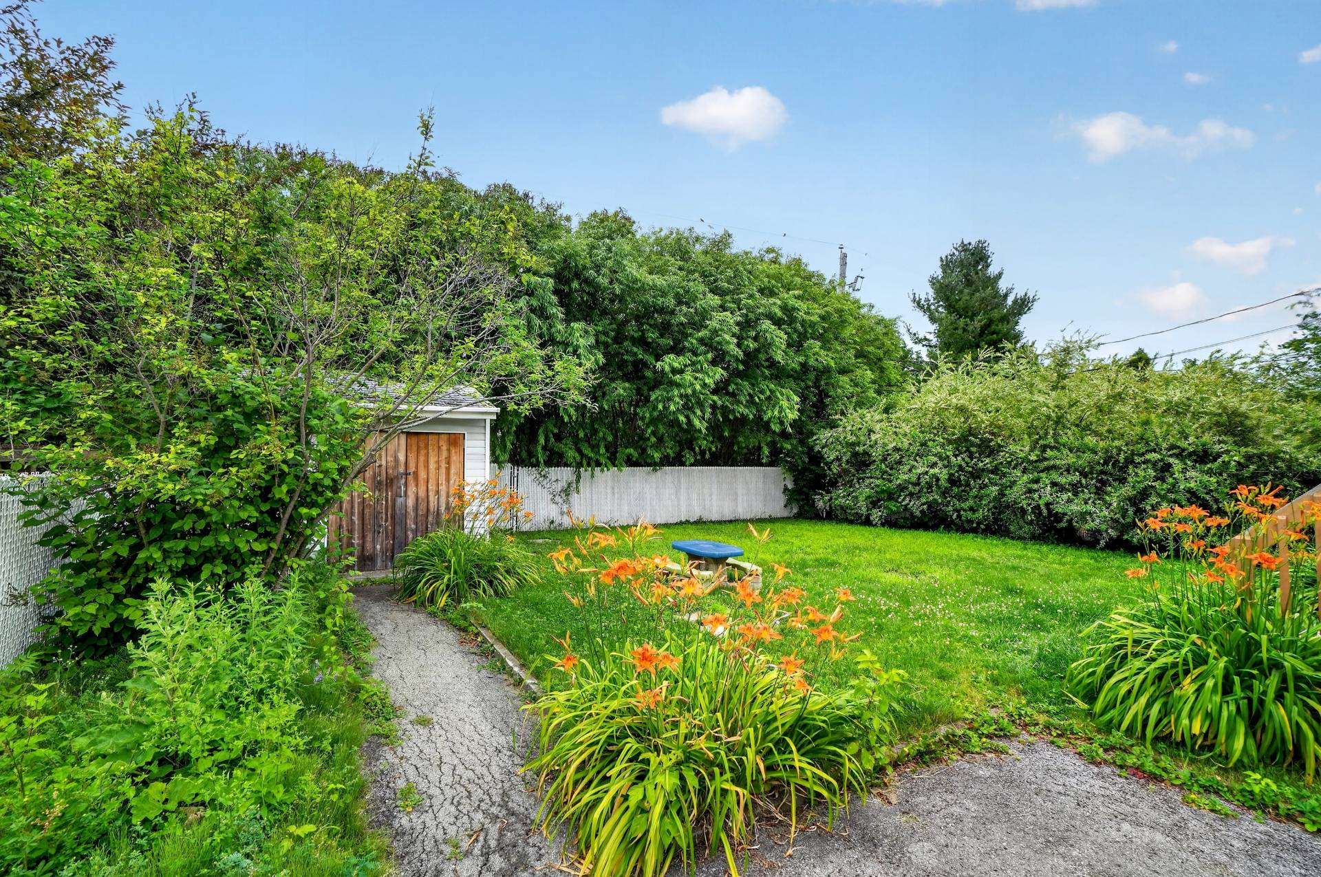 Backyard