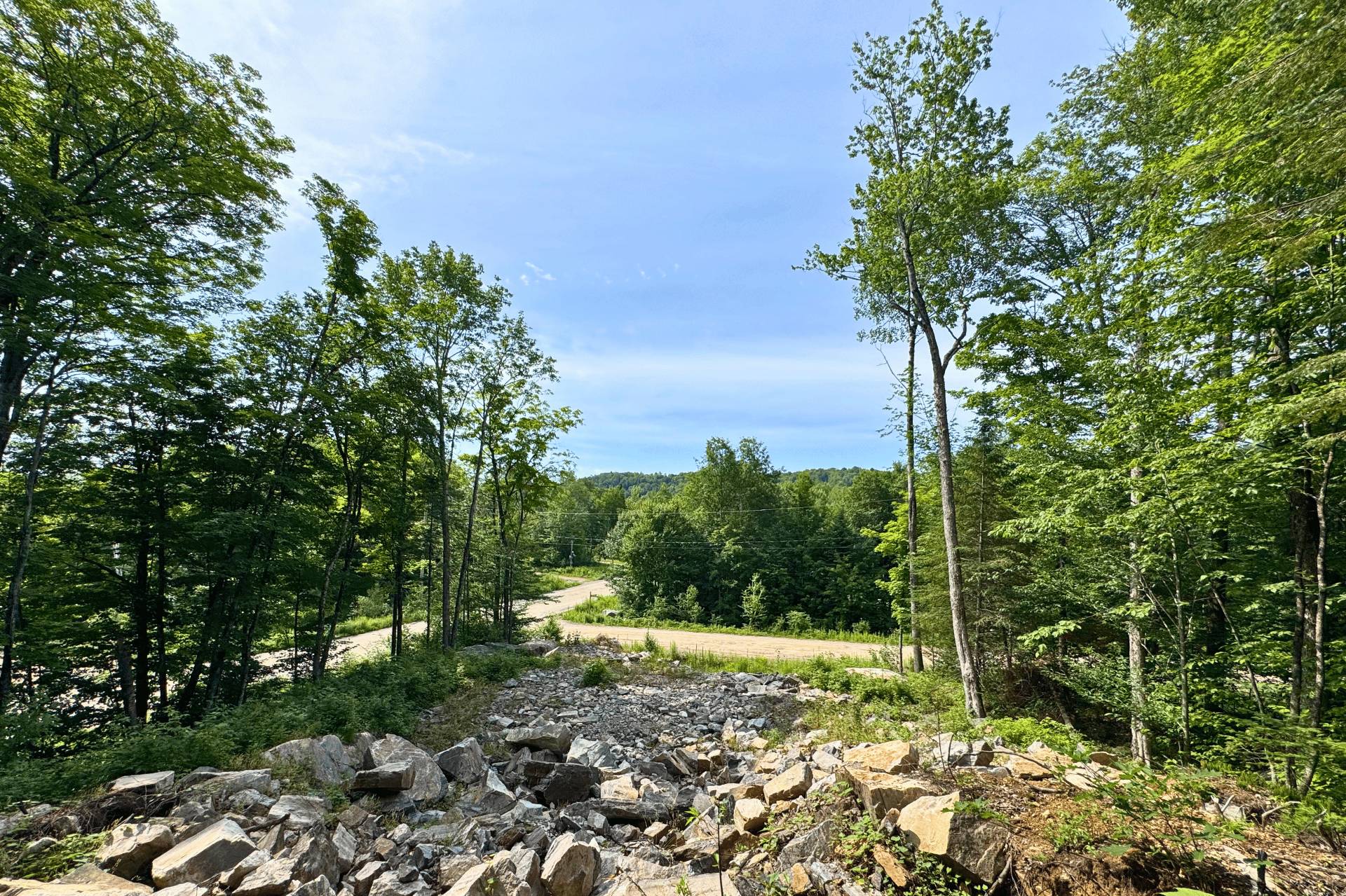 Land/Lot