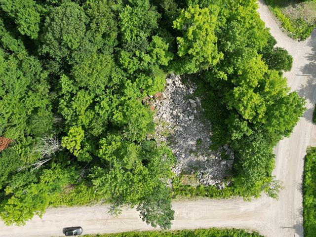 Terre/Terrain