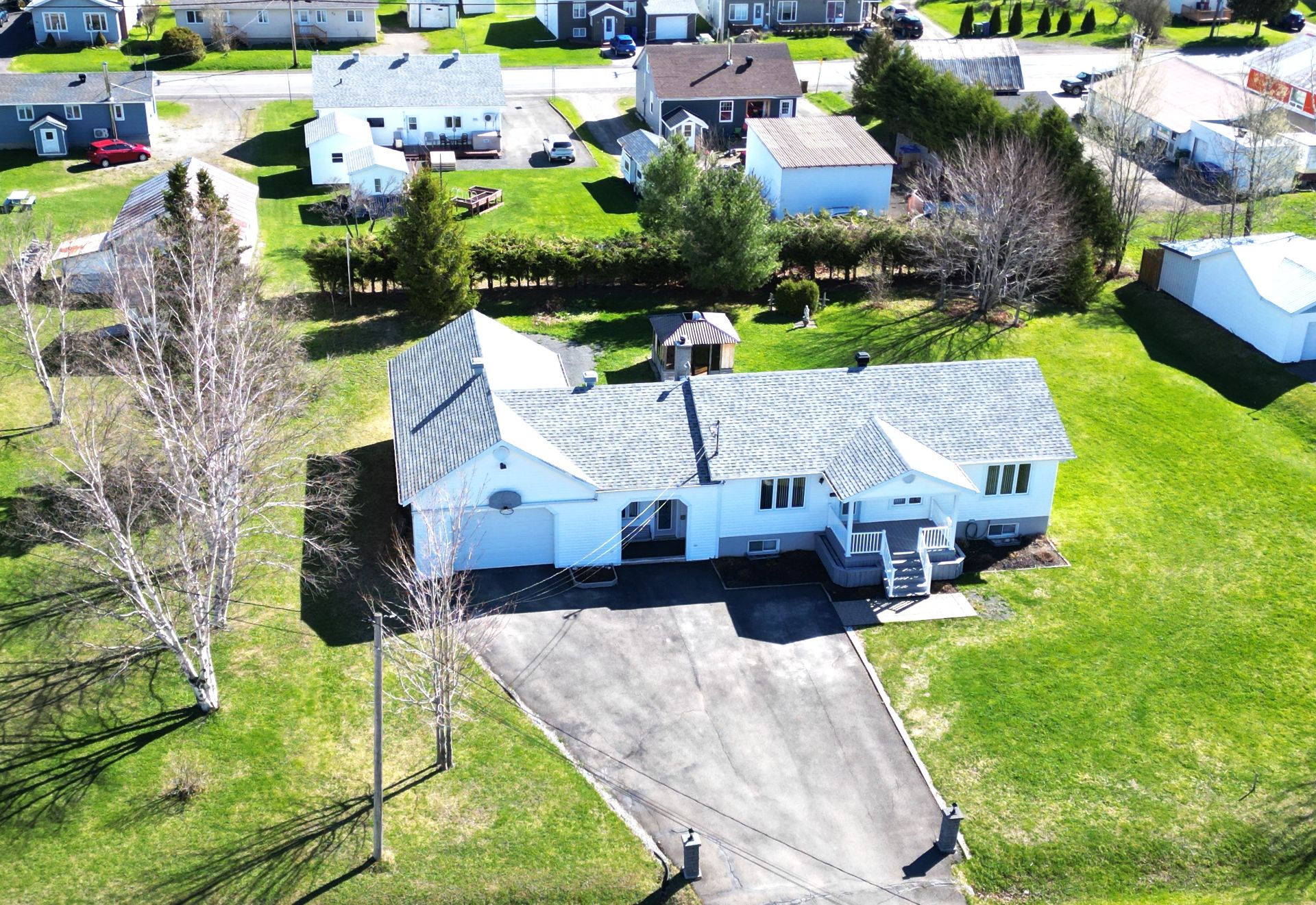 Overall View
