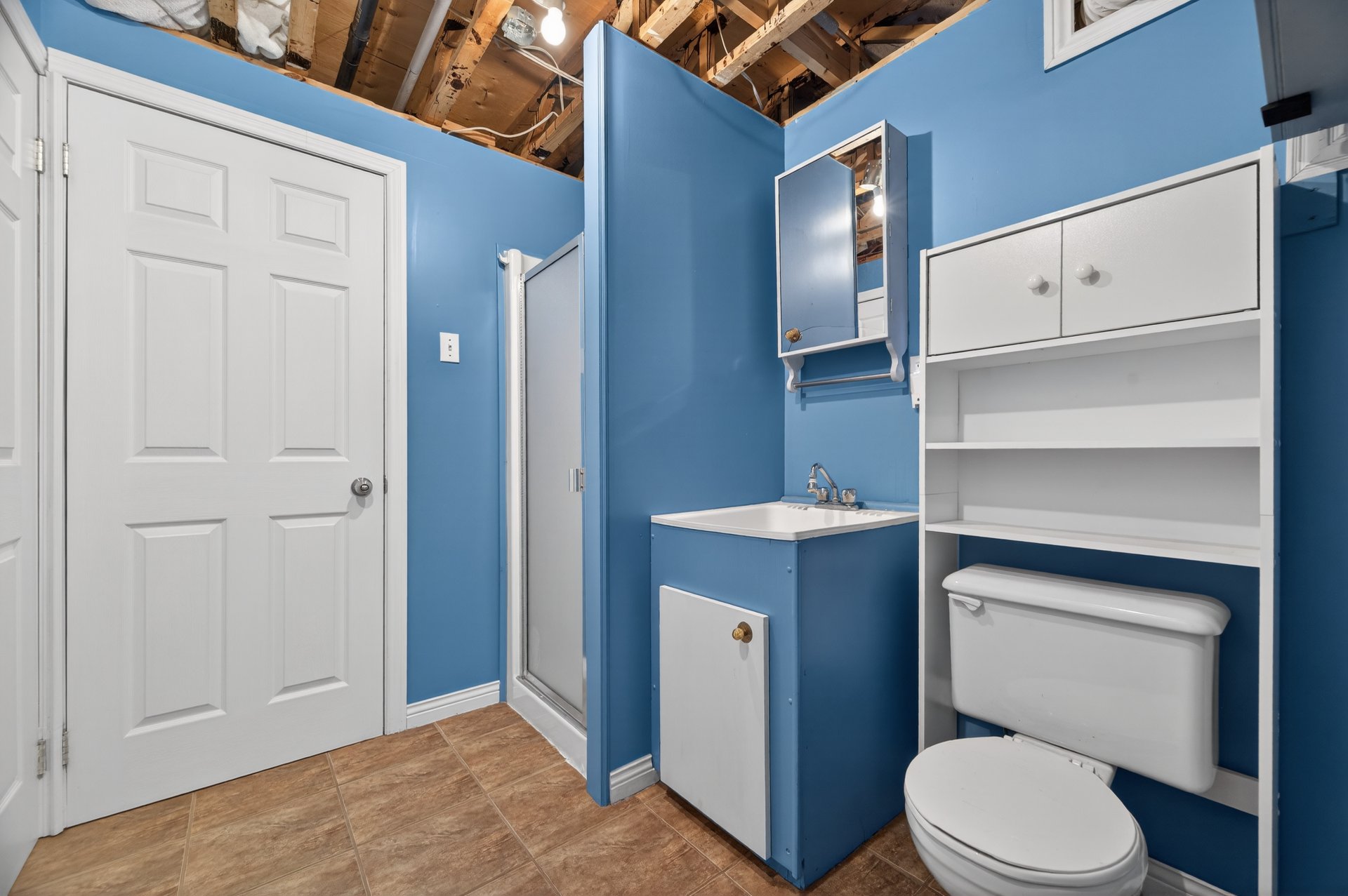 Salle de bains avec douche au sous-sol