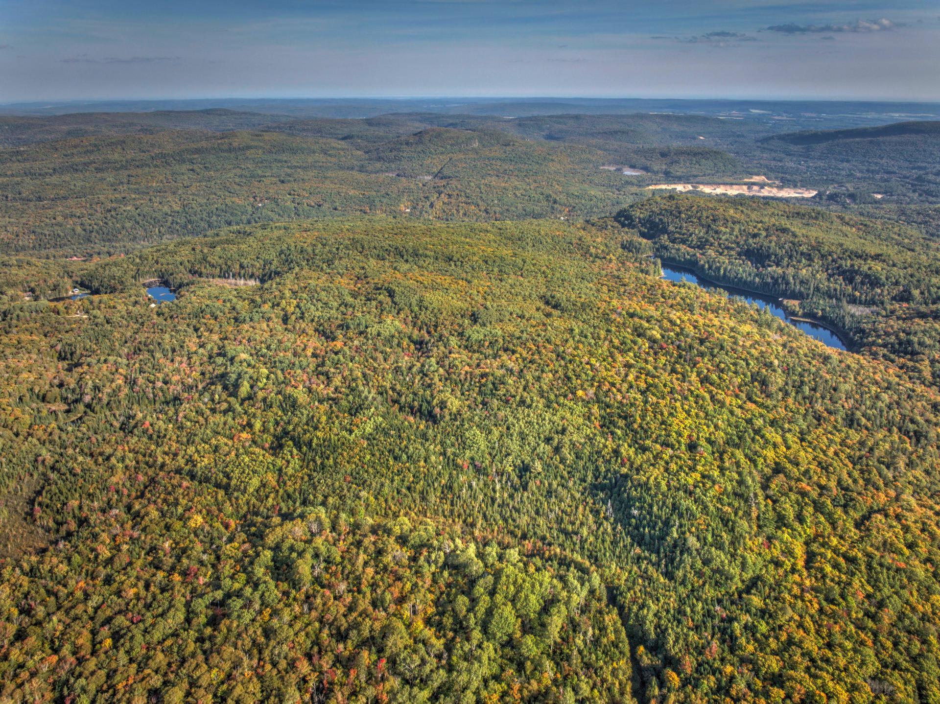 Aerial photo