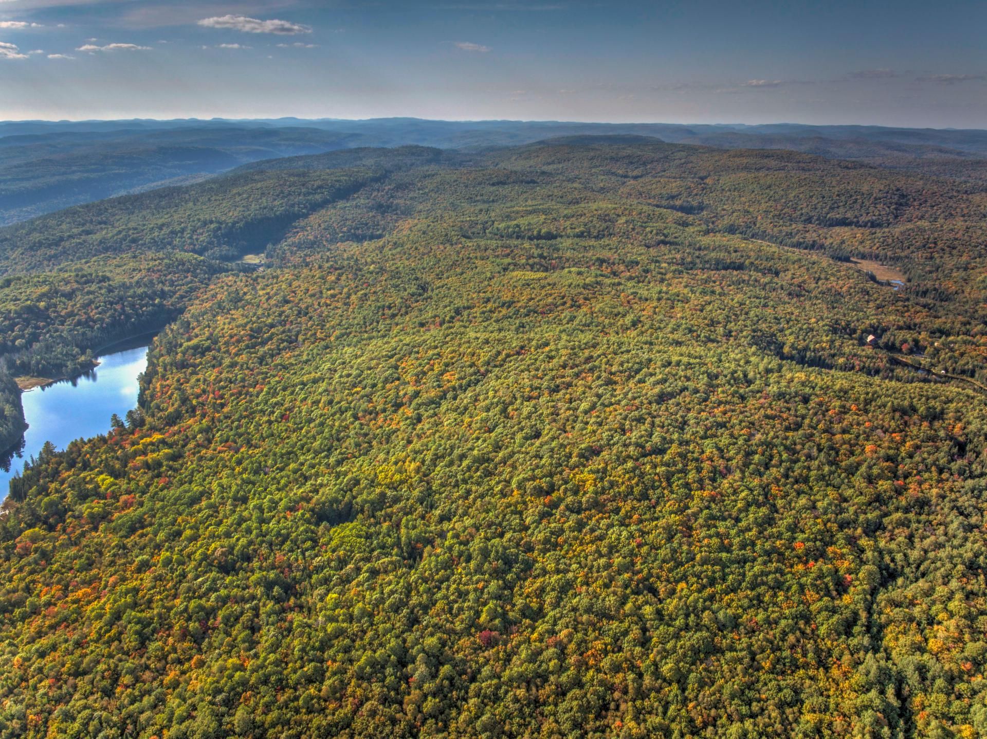 Aerial photo