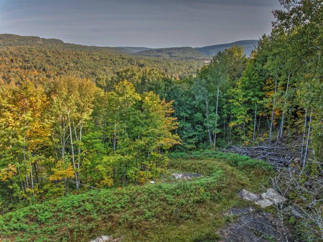Land/Lot