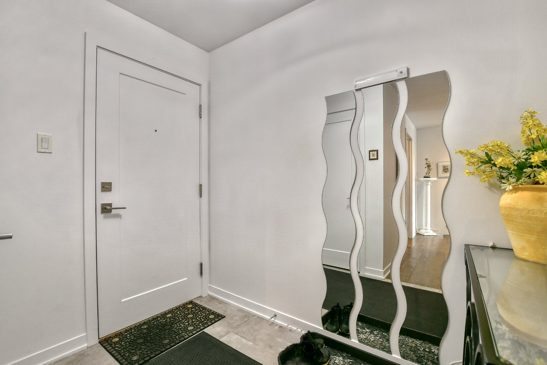 Hall d'entrée/Vestibule