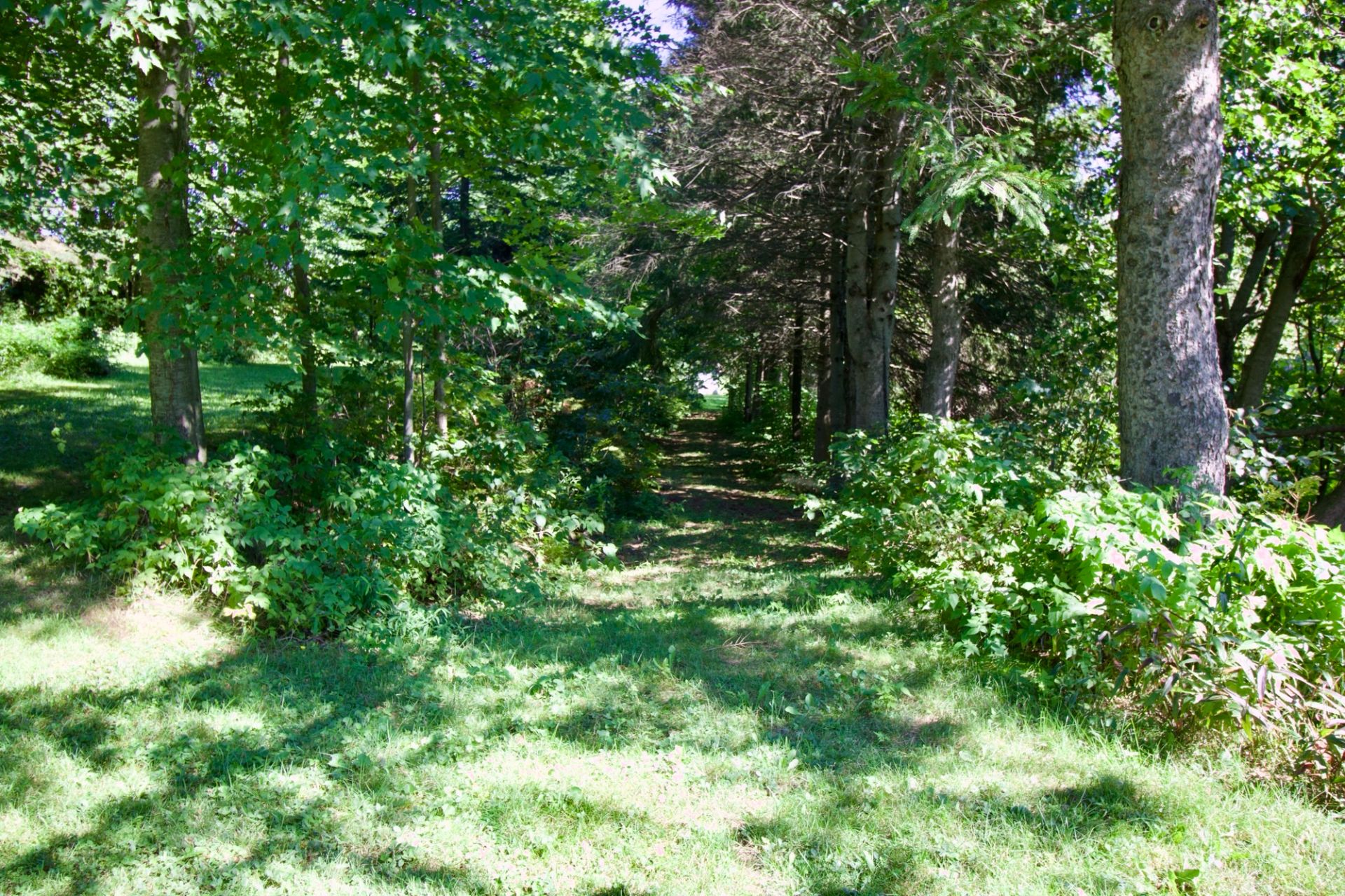 sentier
